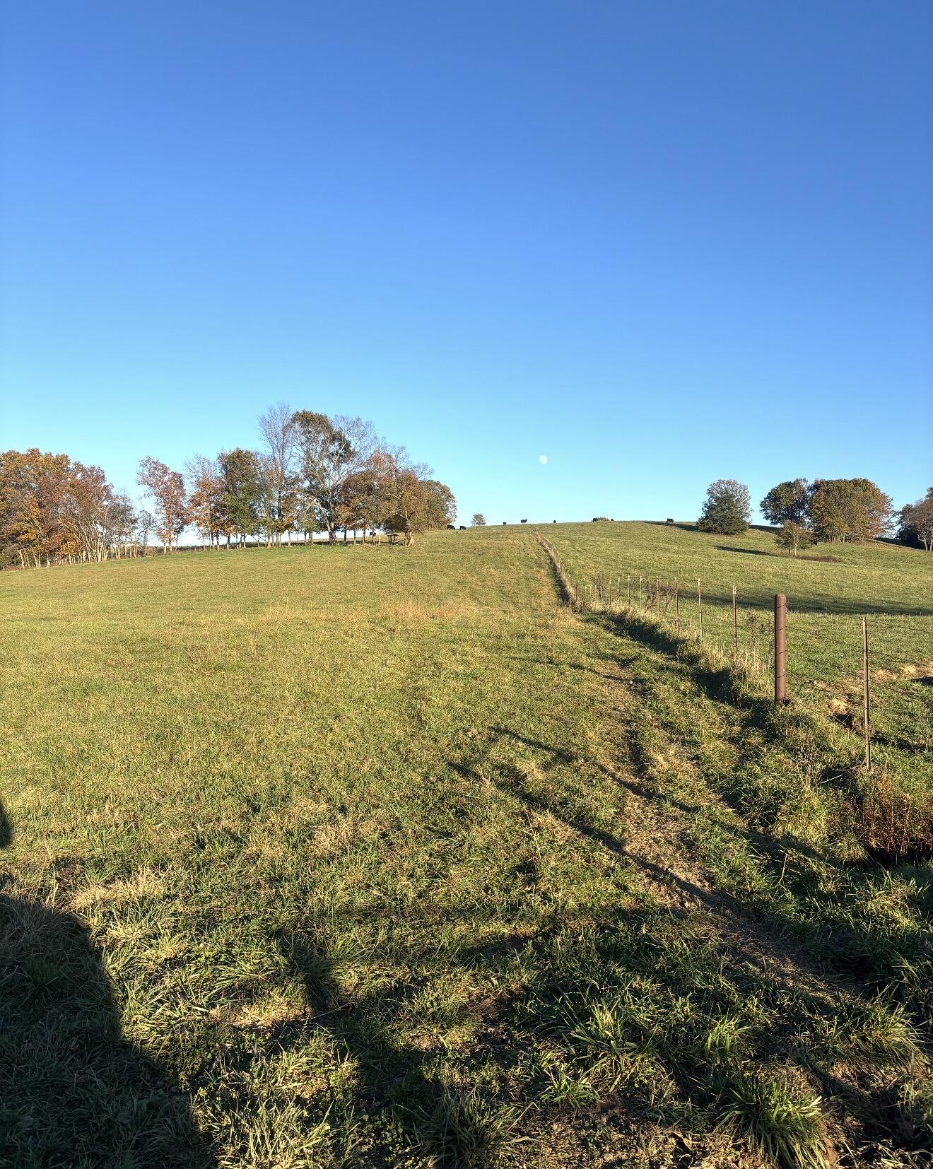 Photo 4 - Residential for sale – Hc 73  County Road 245   Drury, MO
