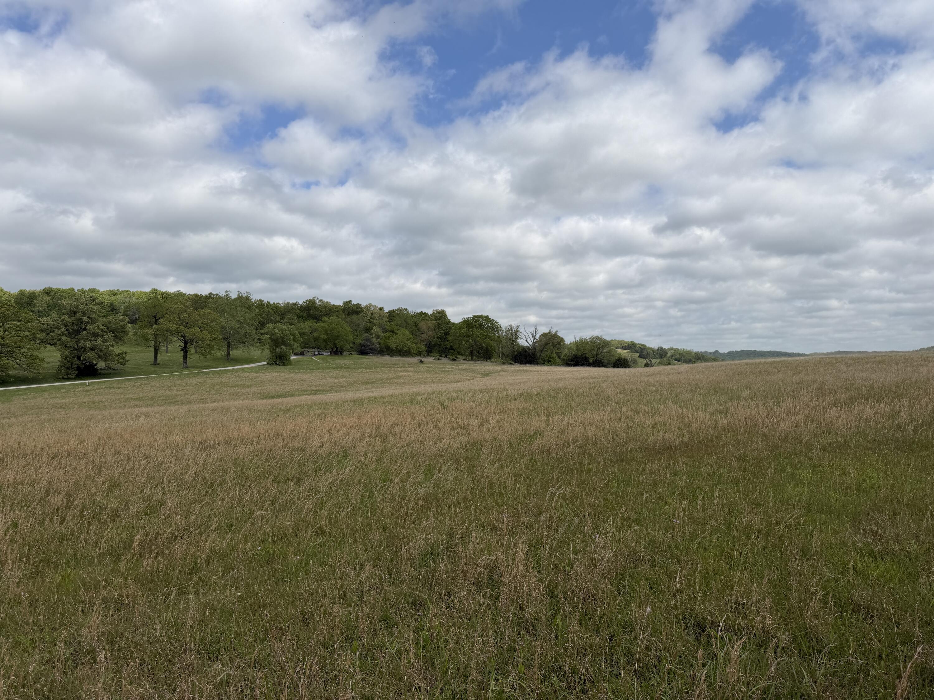 Photo 14 - Land for sale – 000  Northfork Village Street  Tecumseh, MO