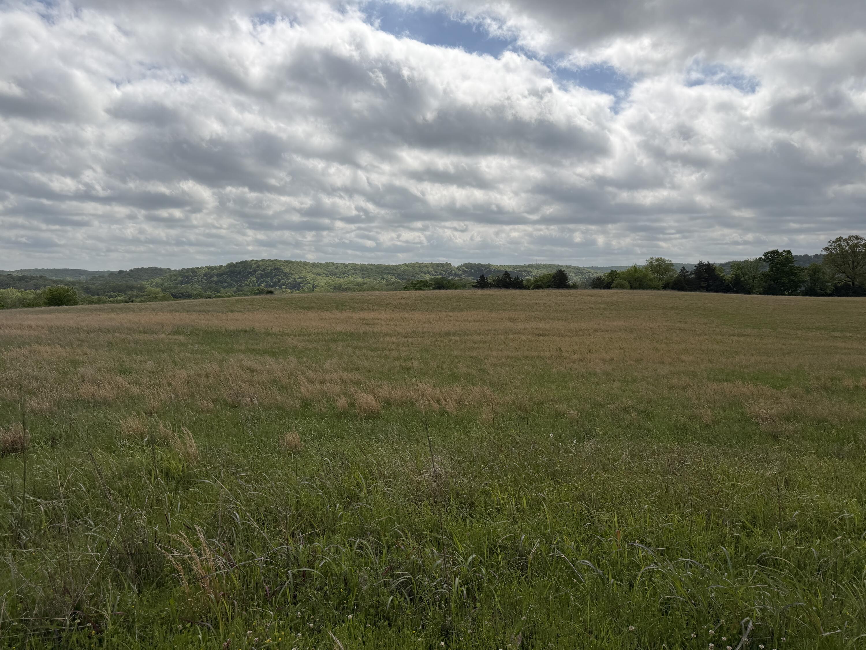 Photo 13 - Land for sale – 000  Northfork Village Street  Tecumseh, MO