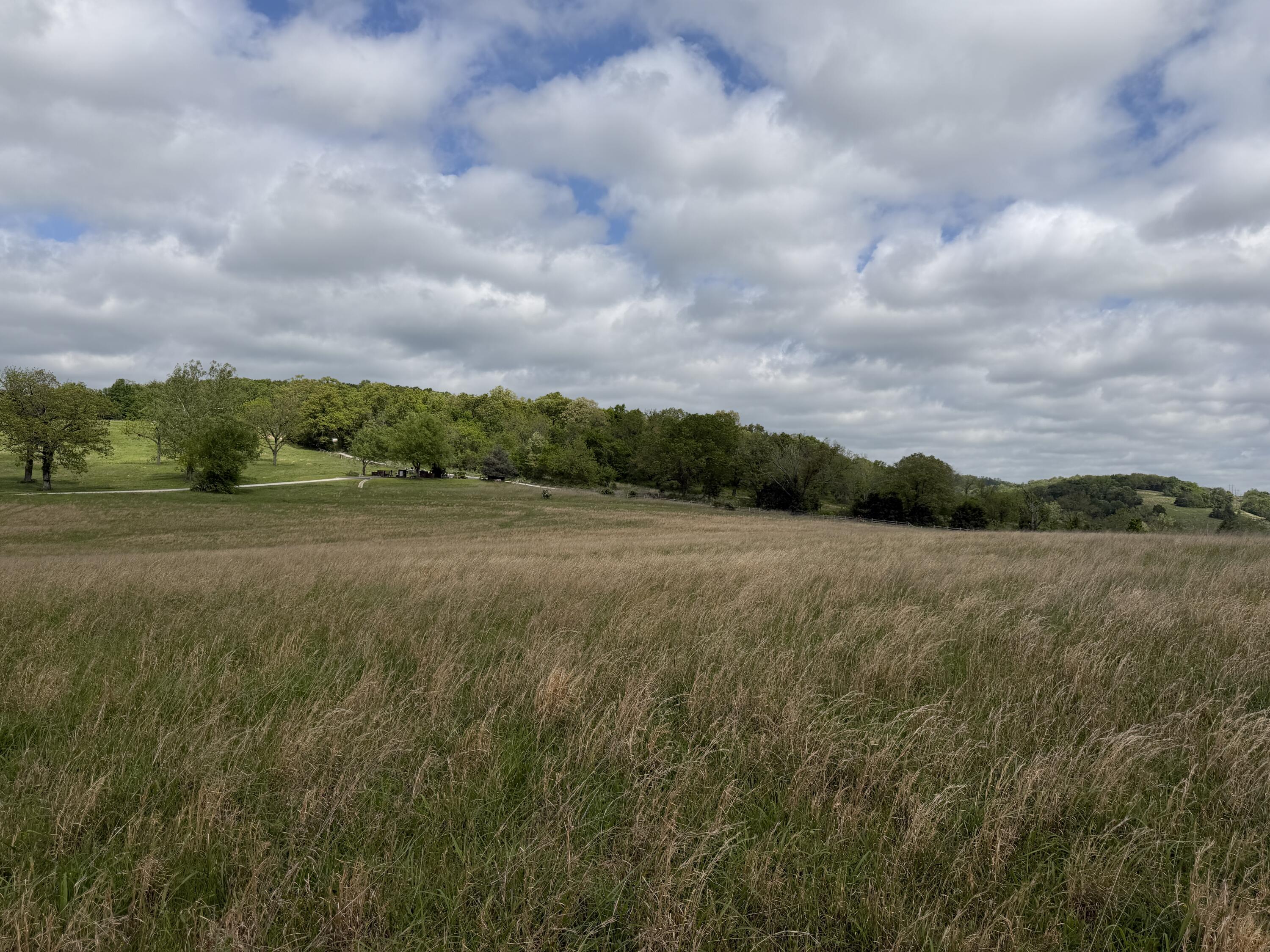 Photo 29 - Land for sale – 000  Northfork Village Street  Tecumseh, MO