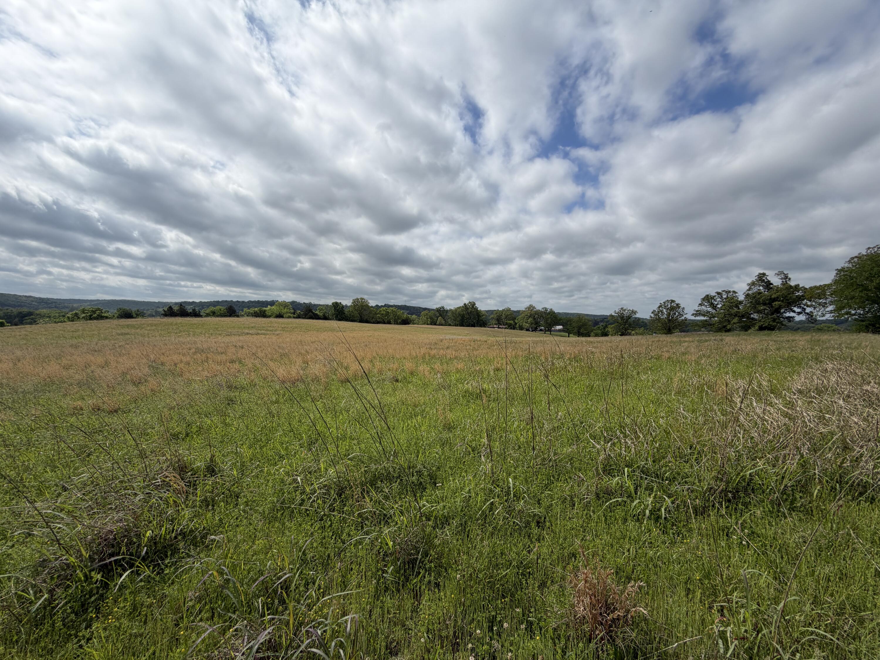 Photo 20 - Land for sale – 000  Northfork Village Street  Tecumseh, MO