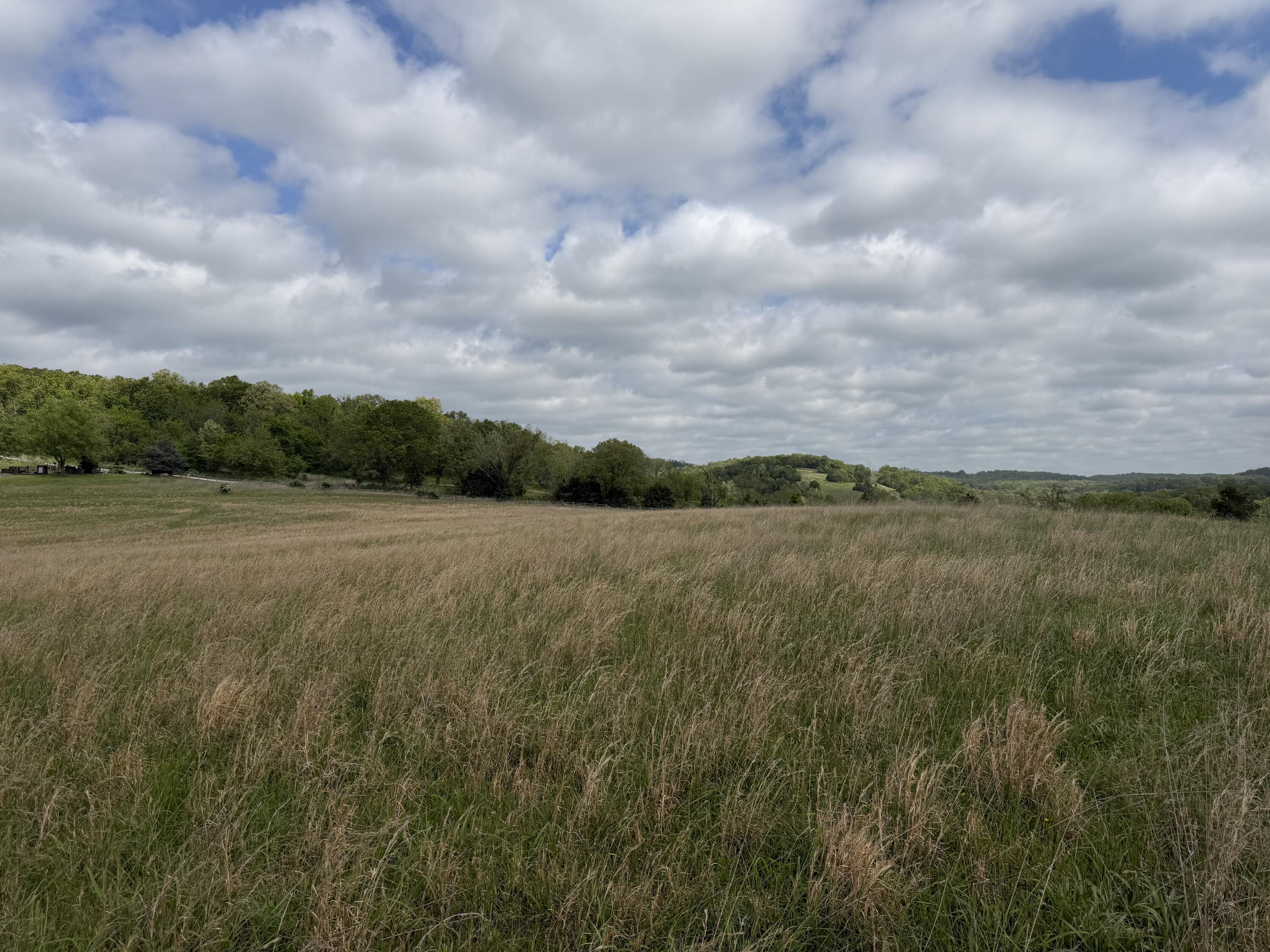 Photo 28 - Land for sale – 000  Northfork Village Street  Tecumseh, MO