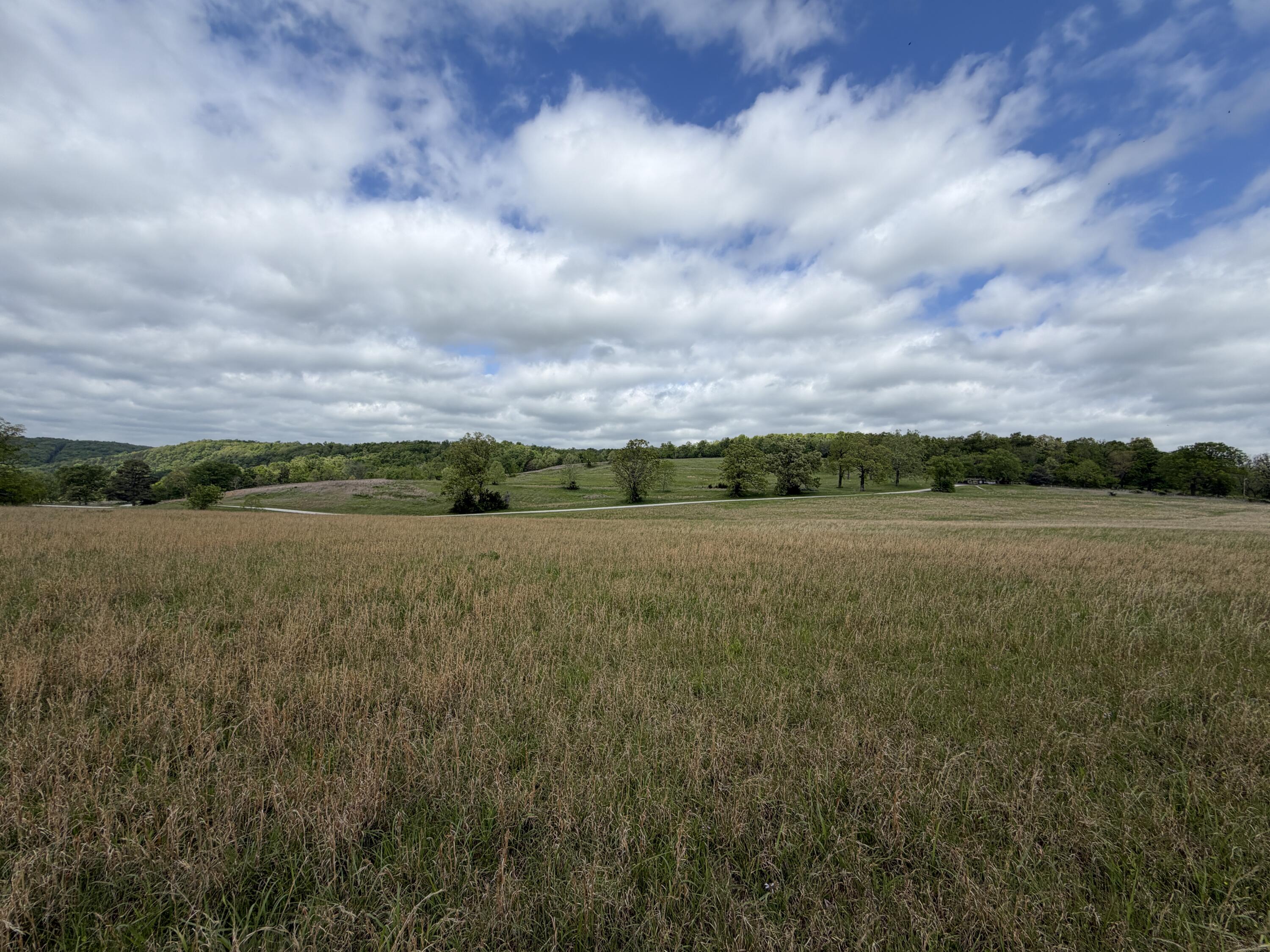 Land for sale – 000  Northfork Village Street  Tecumseh, MO