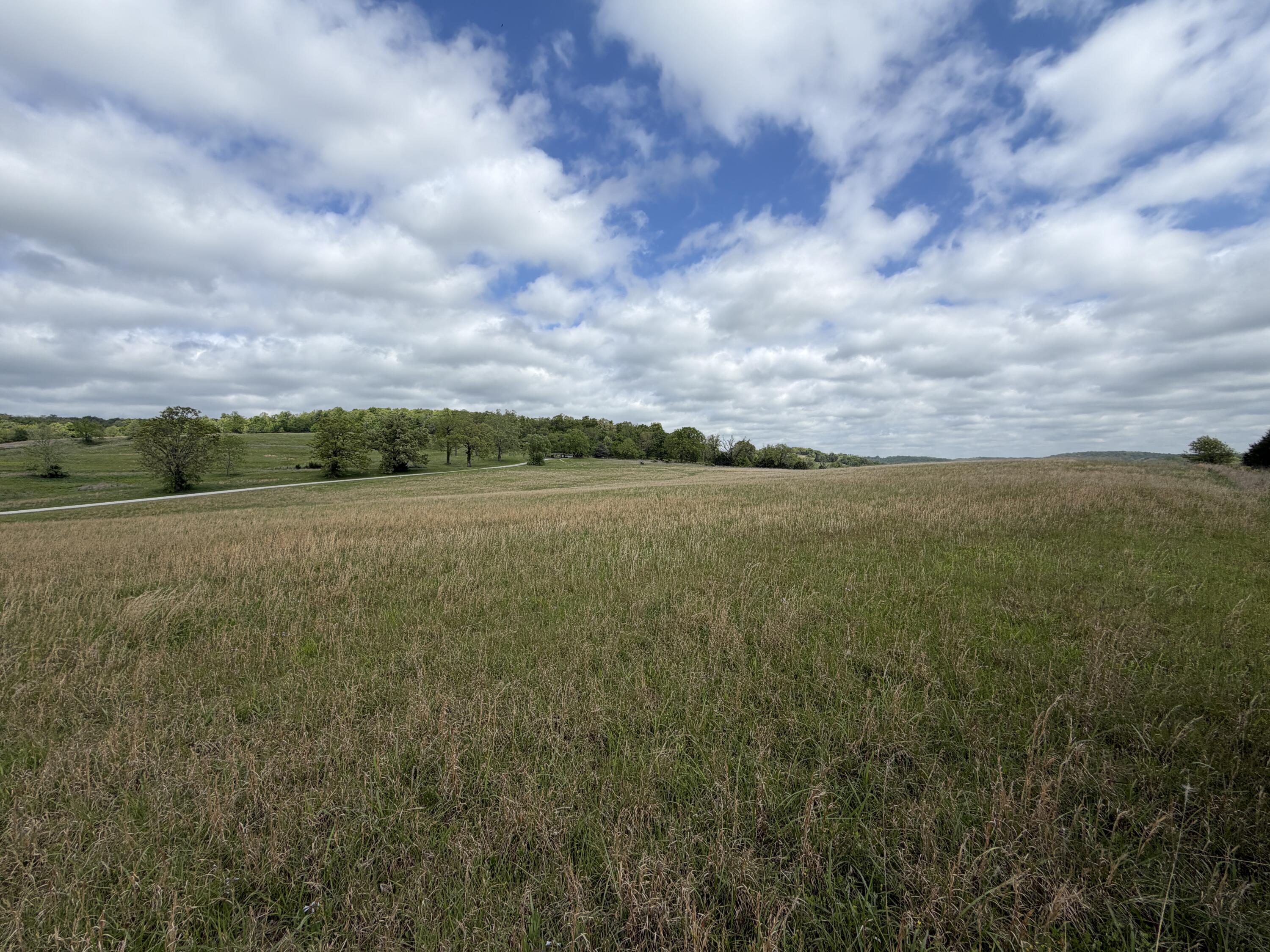 Photo 19 - Land for sale – 000  Northfork Village Street  Tecumseh, MO