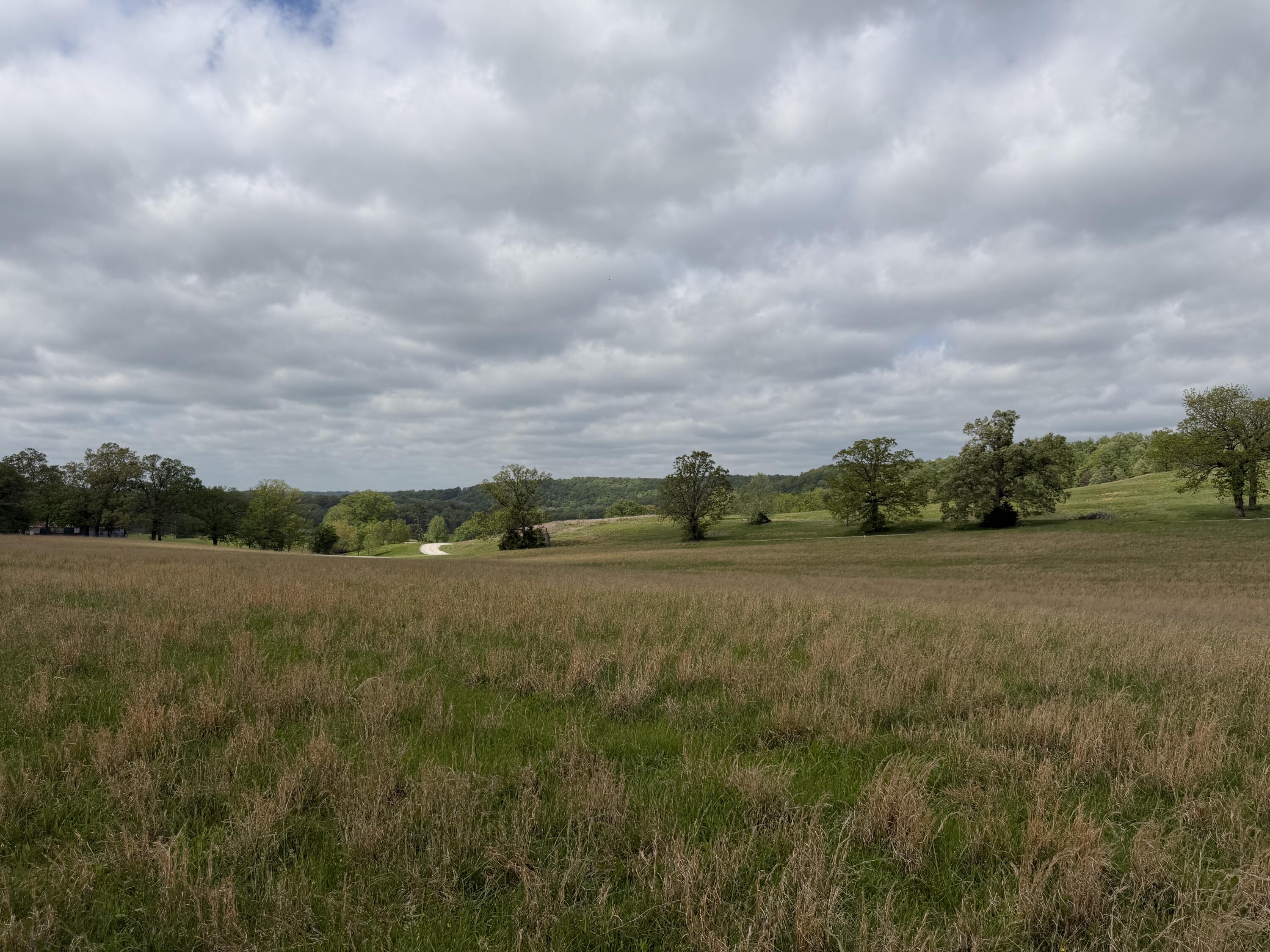 Photo 3 - Land for sale – 000  Northfork Village Street  Tecumseh, MO