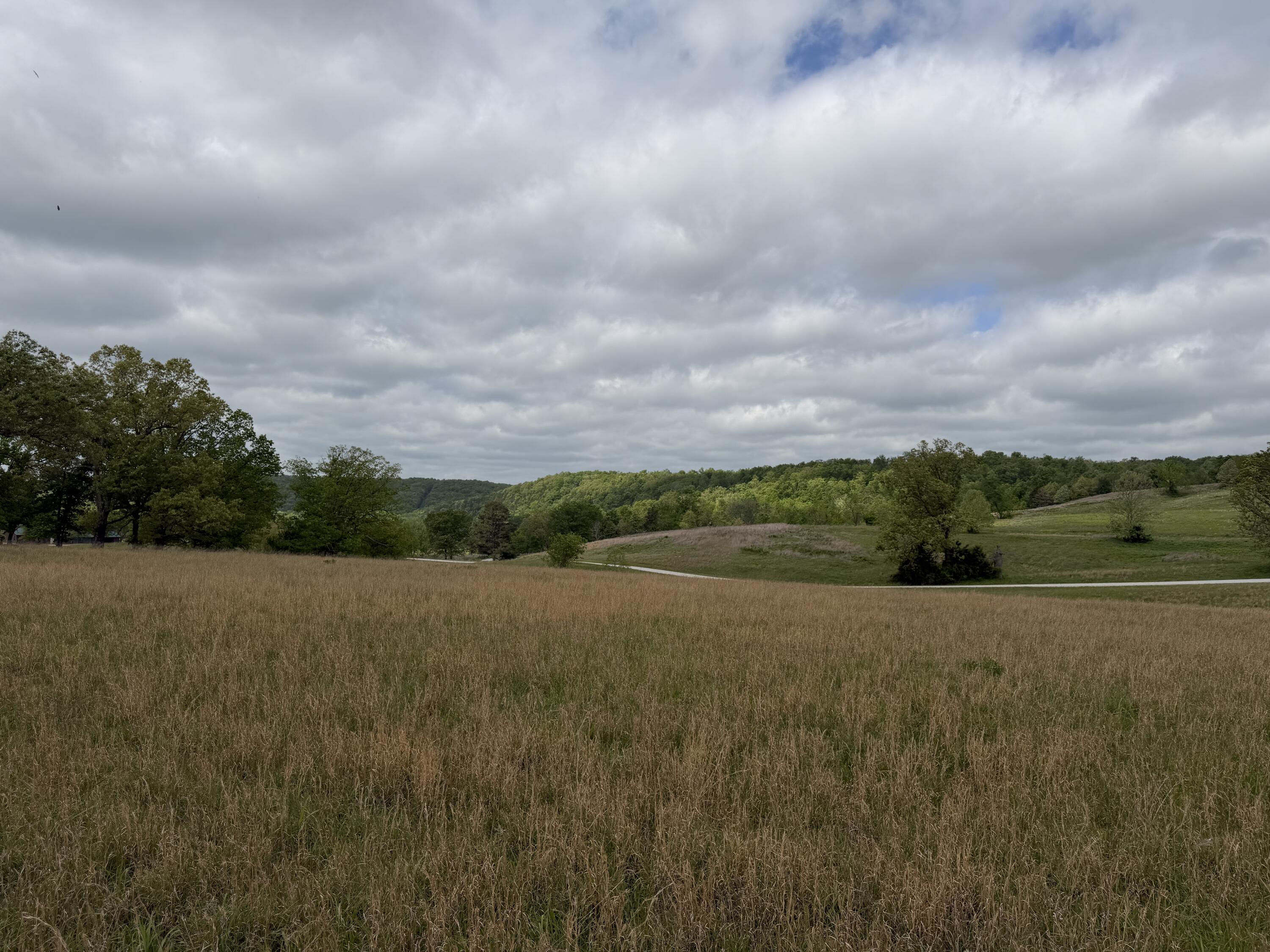 Photo 7 - Land for sale – 000  Northfork Village Street  Tecumseh, MO