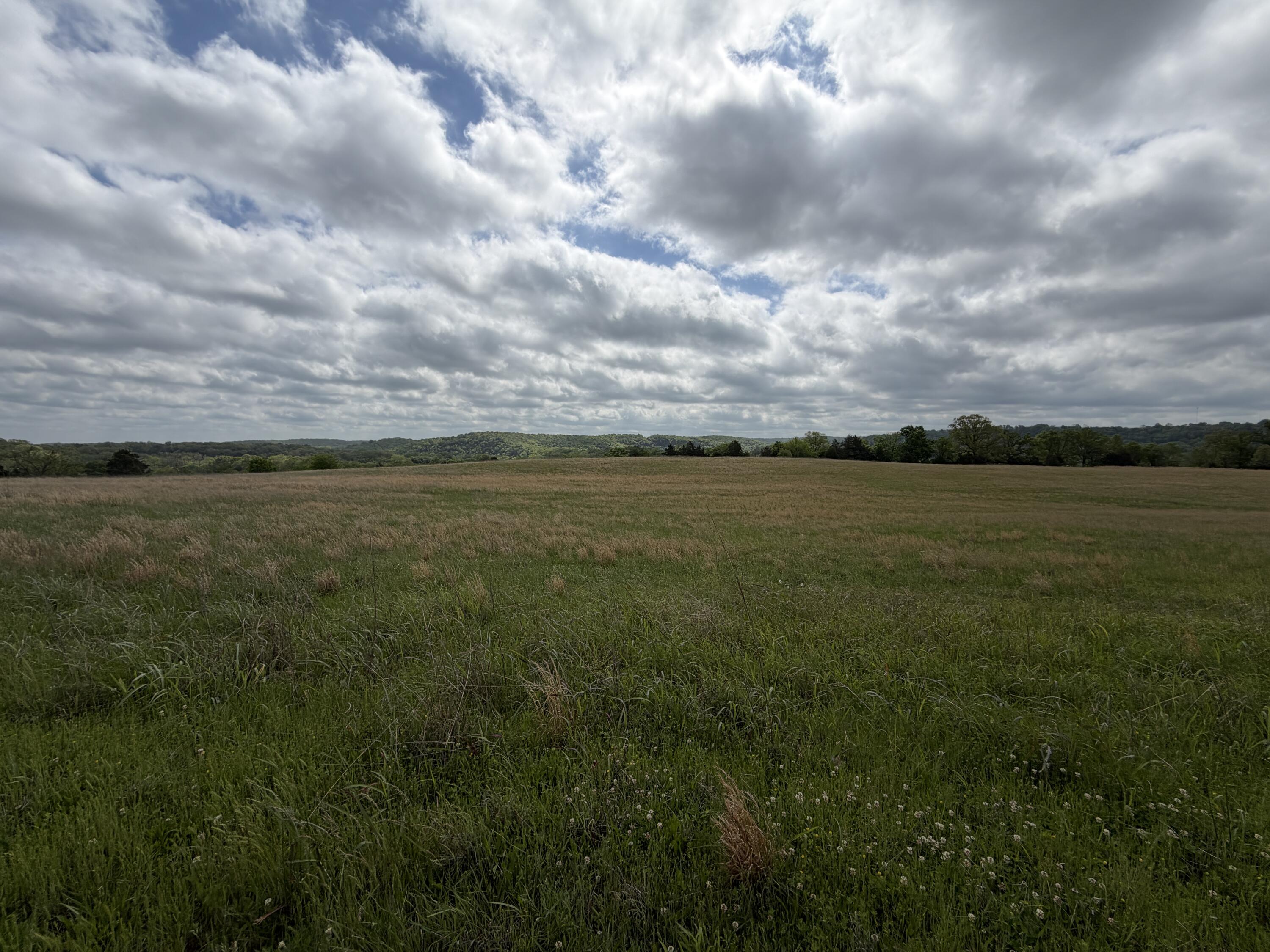 Photo 12 - Land for sale – 000  Northfork Village Street  Tecumseh, MO