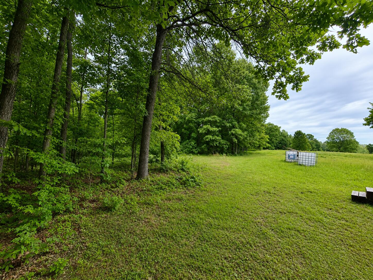 Land for sale – 113  Wanda Drive   Squires, MO