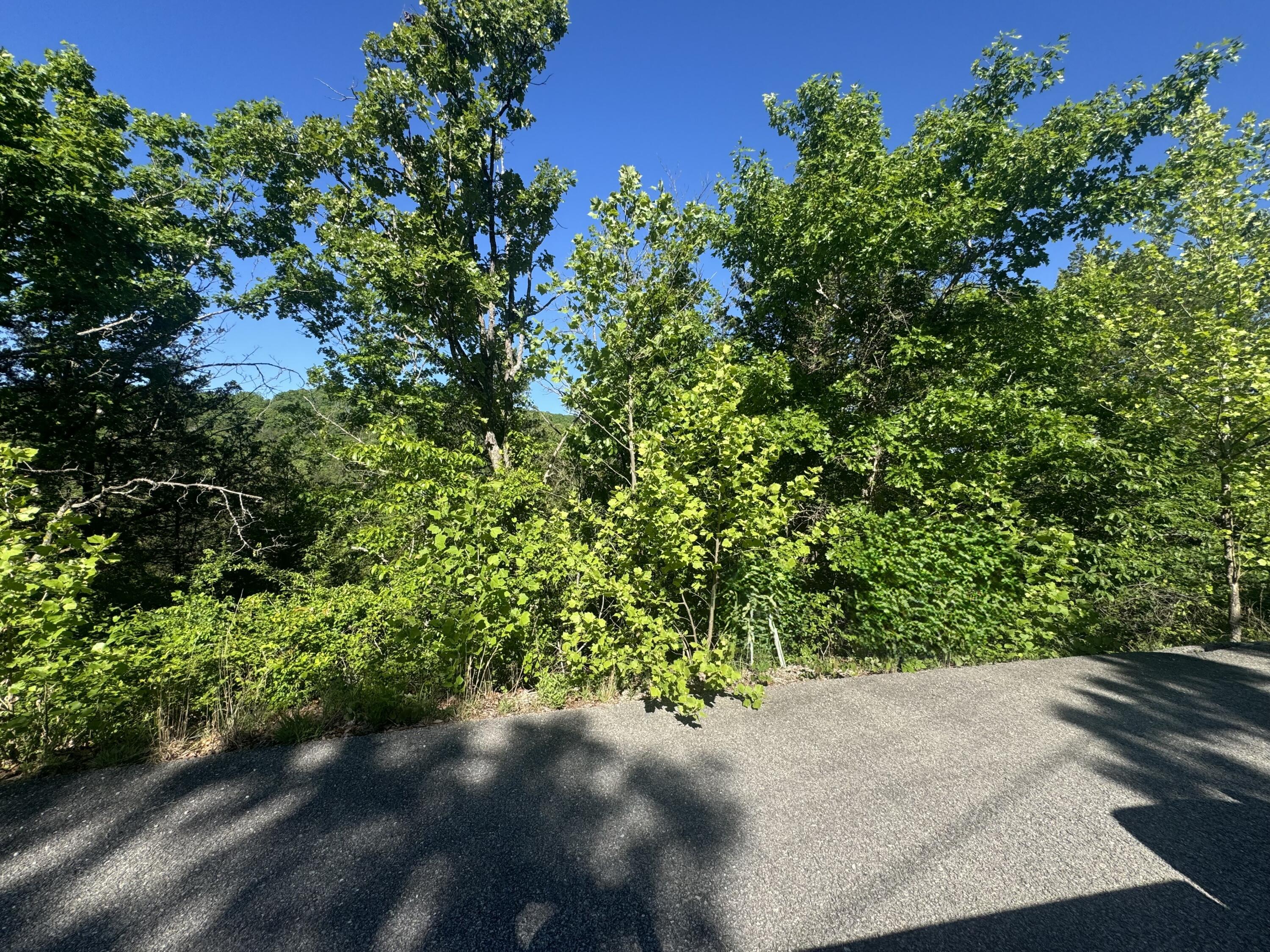 Photo 2 - Land for sale – 360  Timber Wolf Road  Hollister, MO