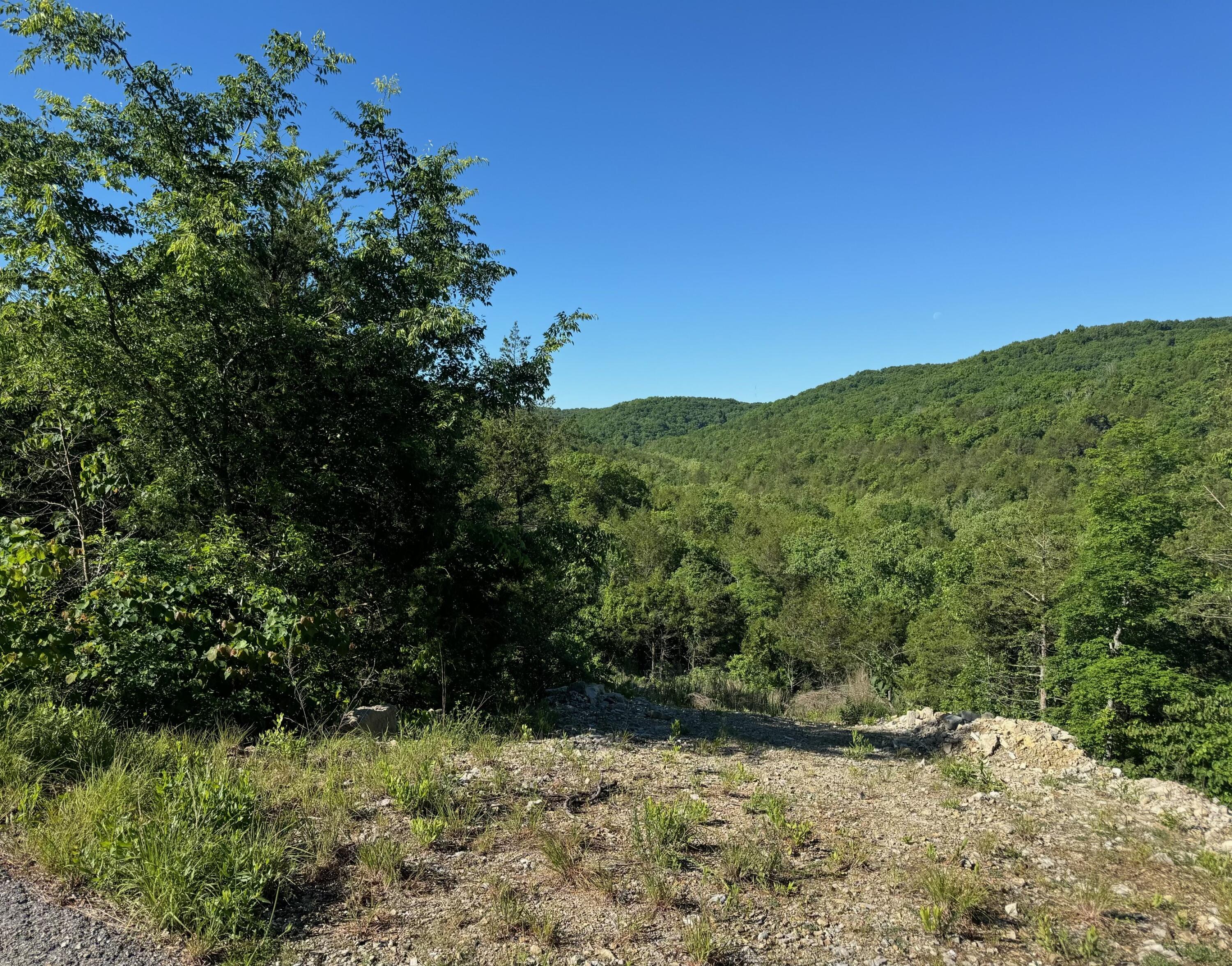 Land for sale – 236  Timber Wolf Rd   Hollister, MO