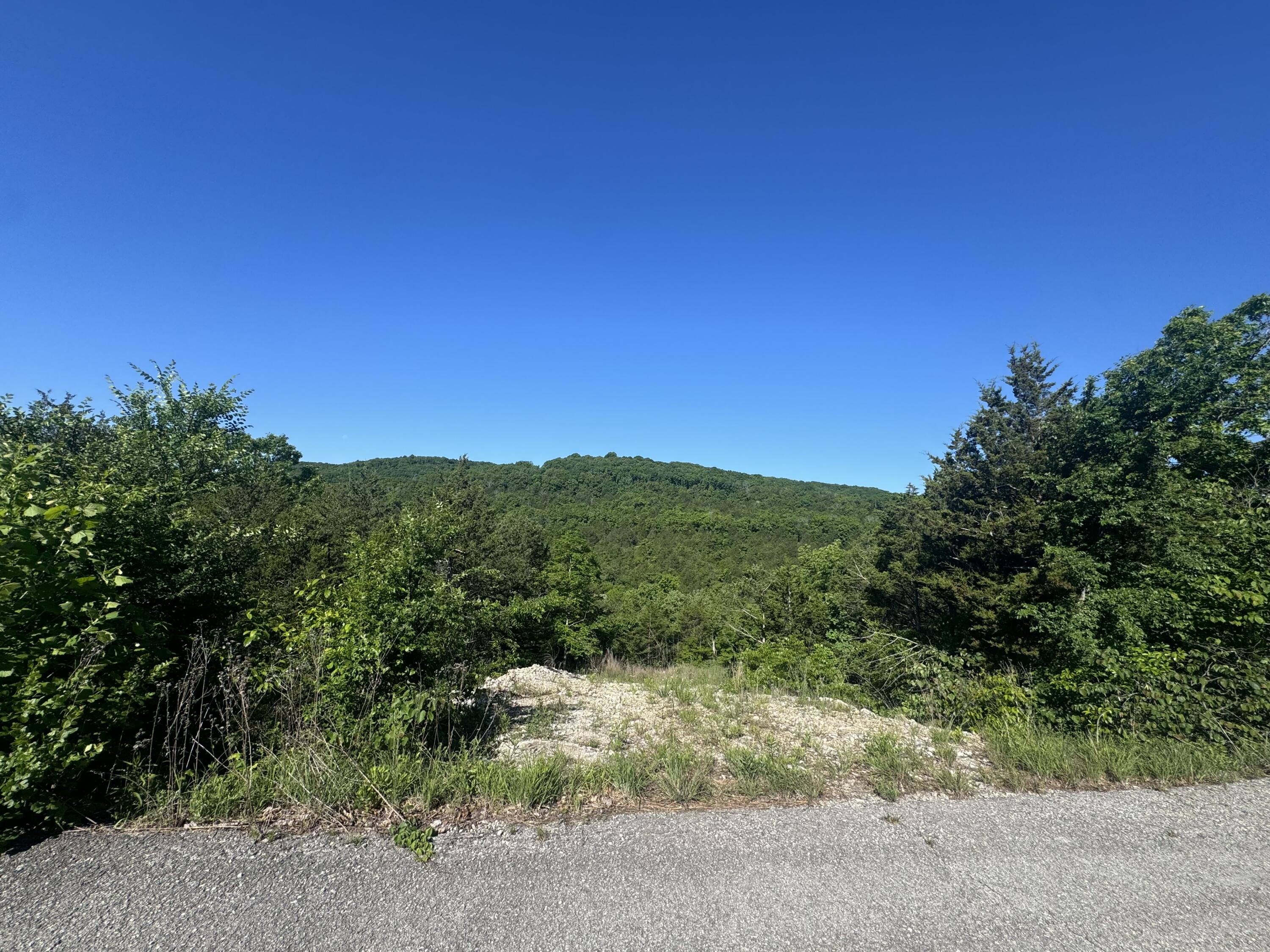 Photo 2 - Land for sale – 236  Timber Wolf Rd   Hollister, MO