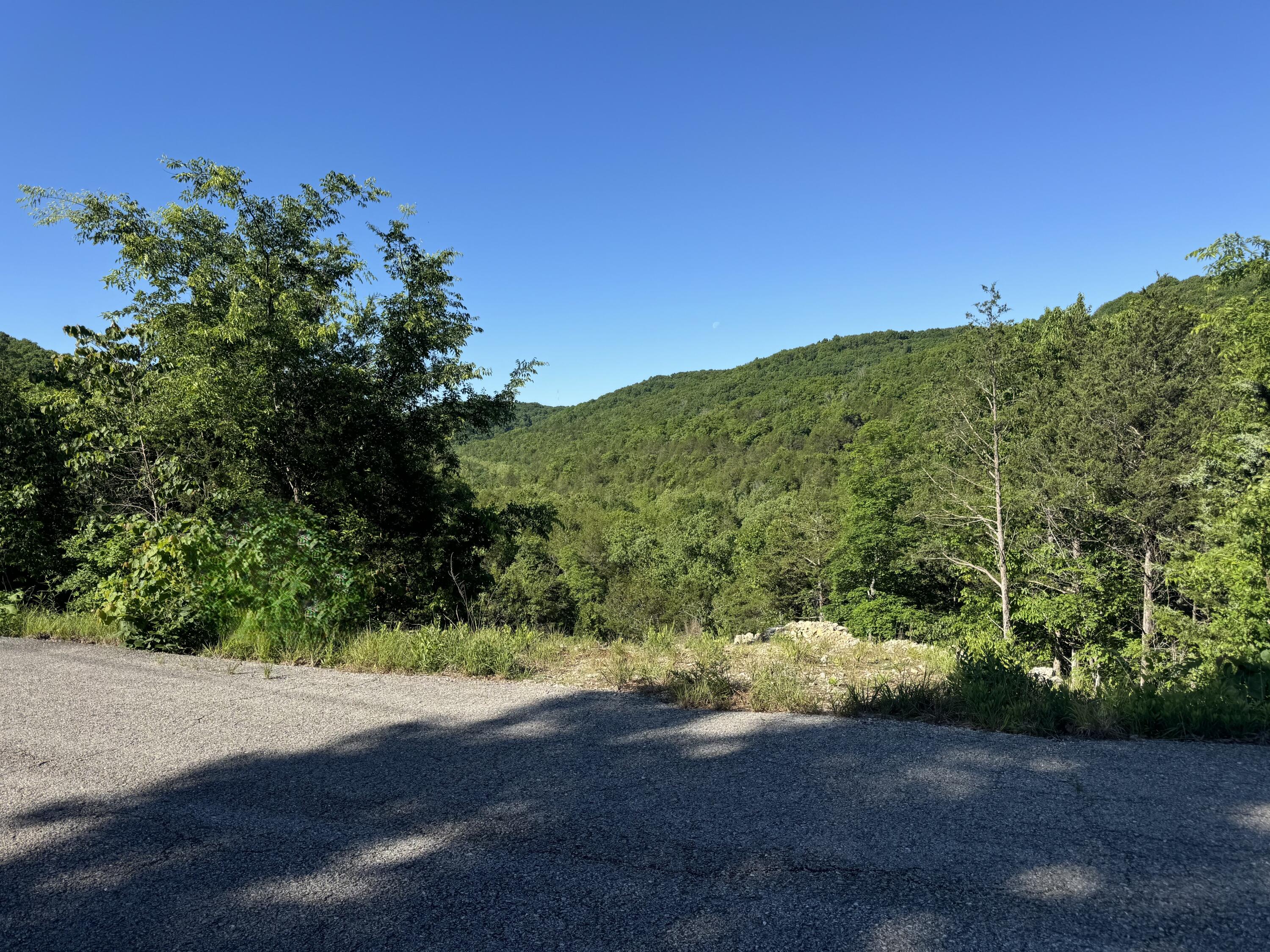 Photo 2 - Land for sale – 280  Timber Wolf Road  Hollister, MO