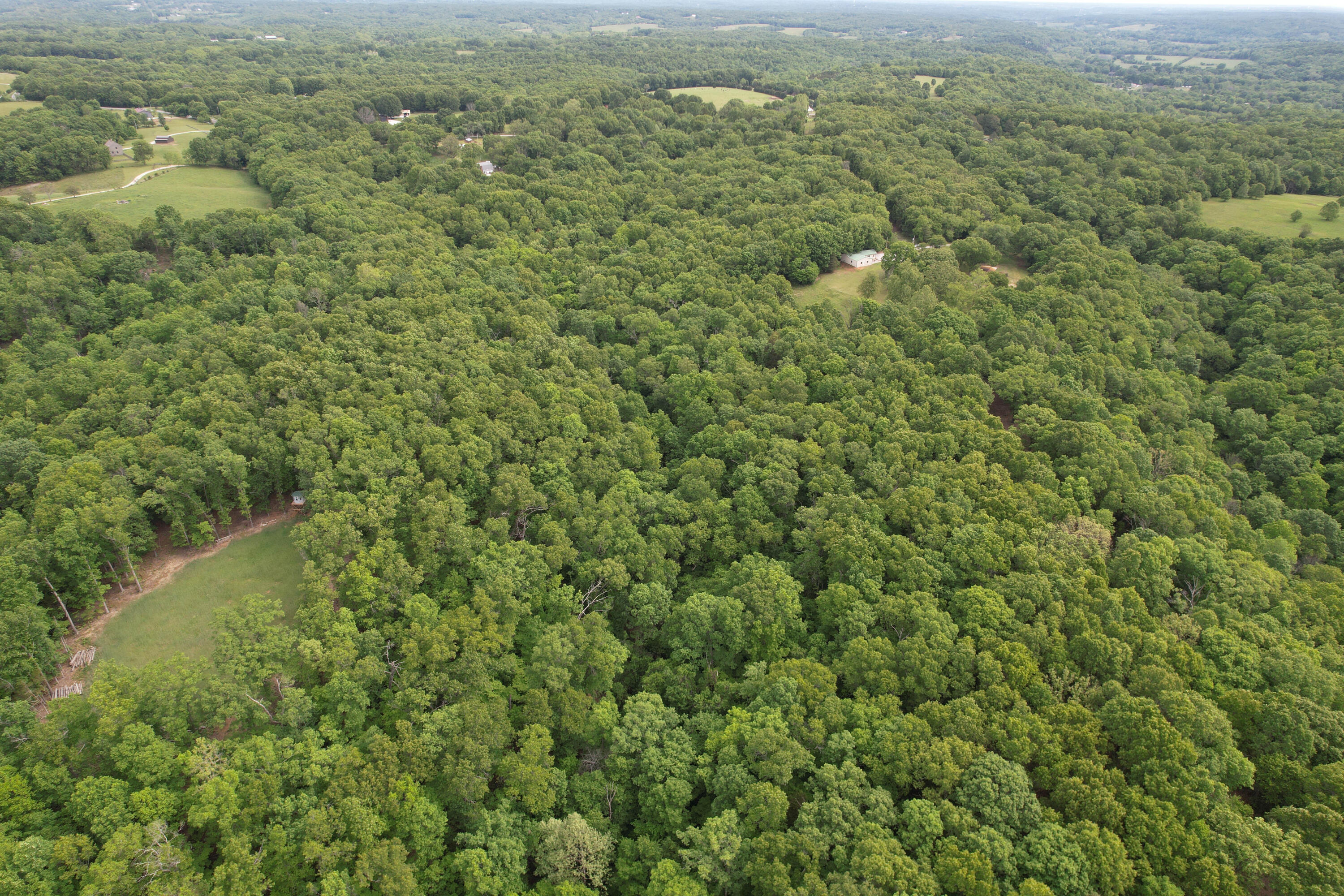 Photo 9 - Land for sale – 10550  State Hwy A   Crane, MO
