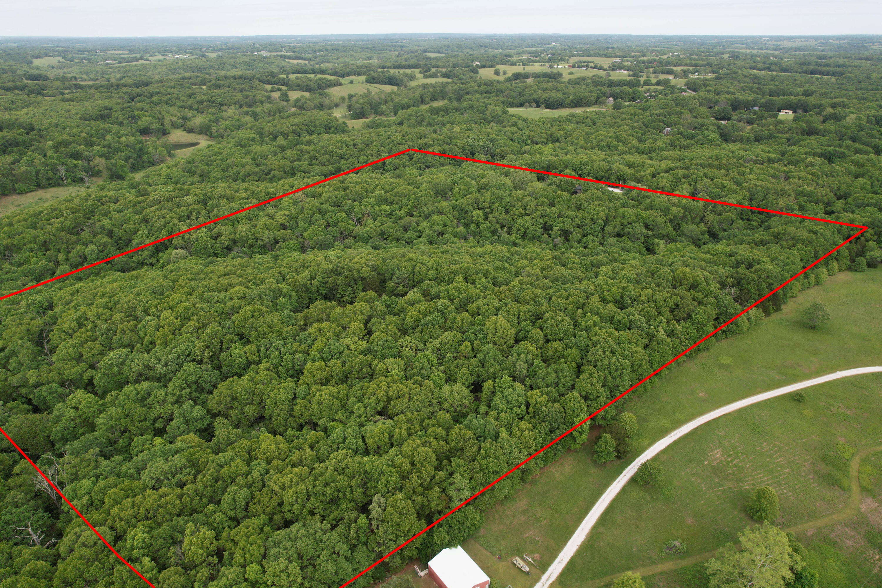 Photo 5 - Land for sale – 10550  State Hwy A   Crane, MO