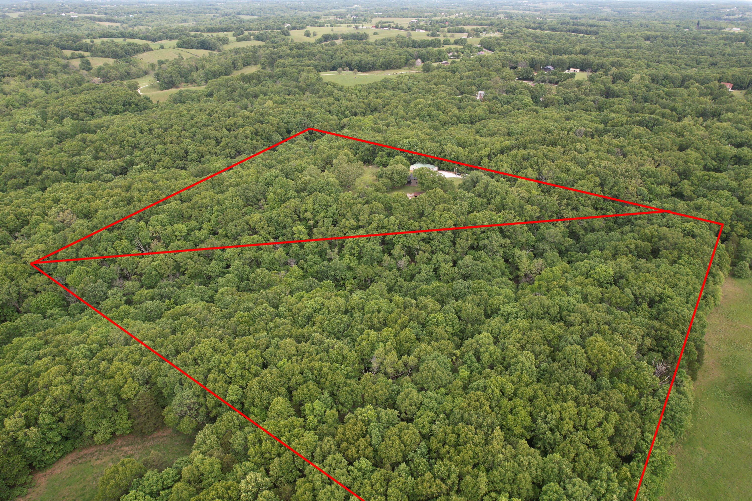 Photo 7 - Land for sale – 10550  State Hwy A   Crane, MO
