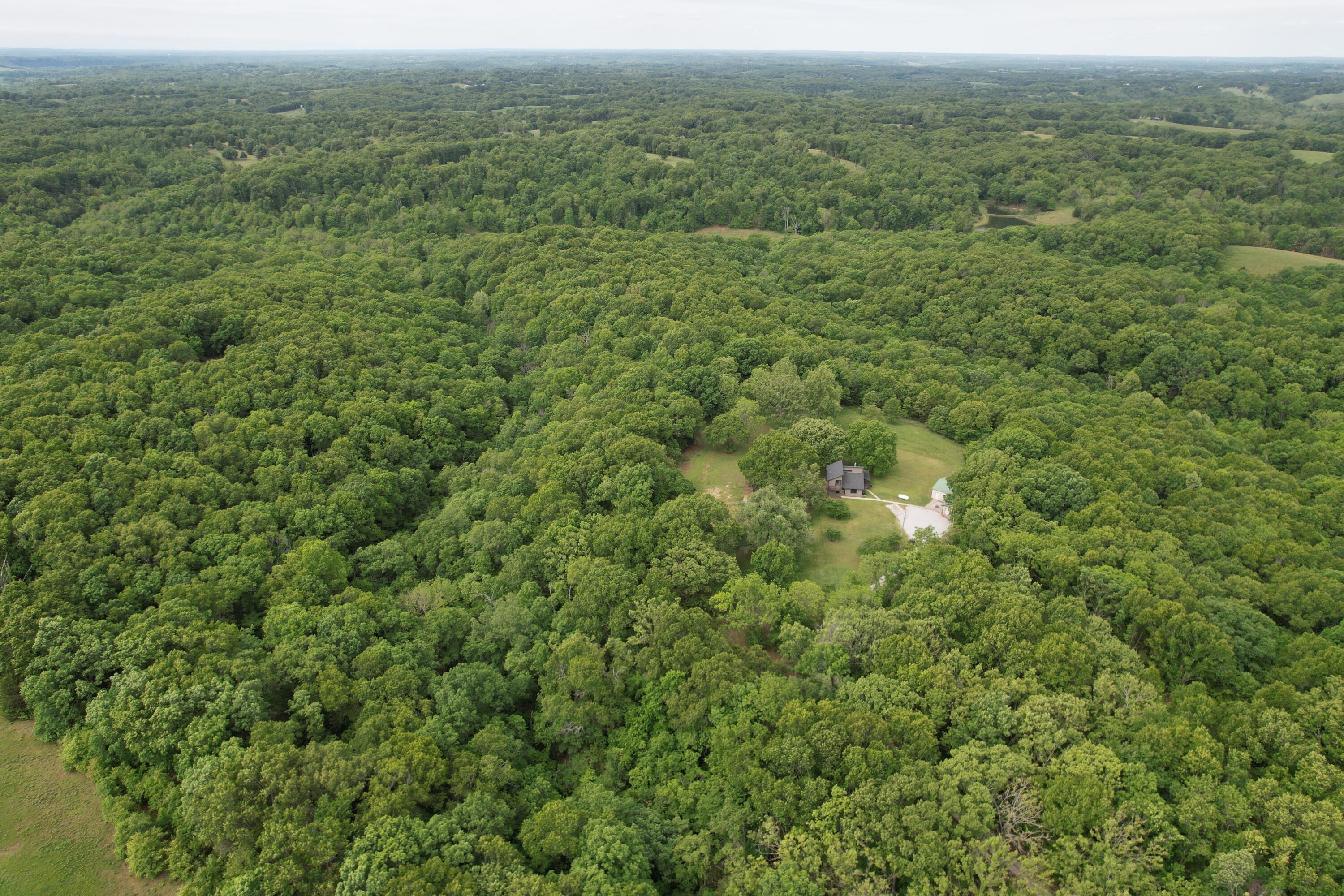 Photo 11 - Land for sale – 10550  State Hwy A   Crane, MO