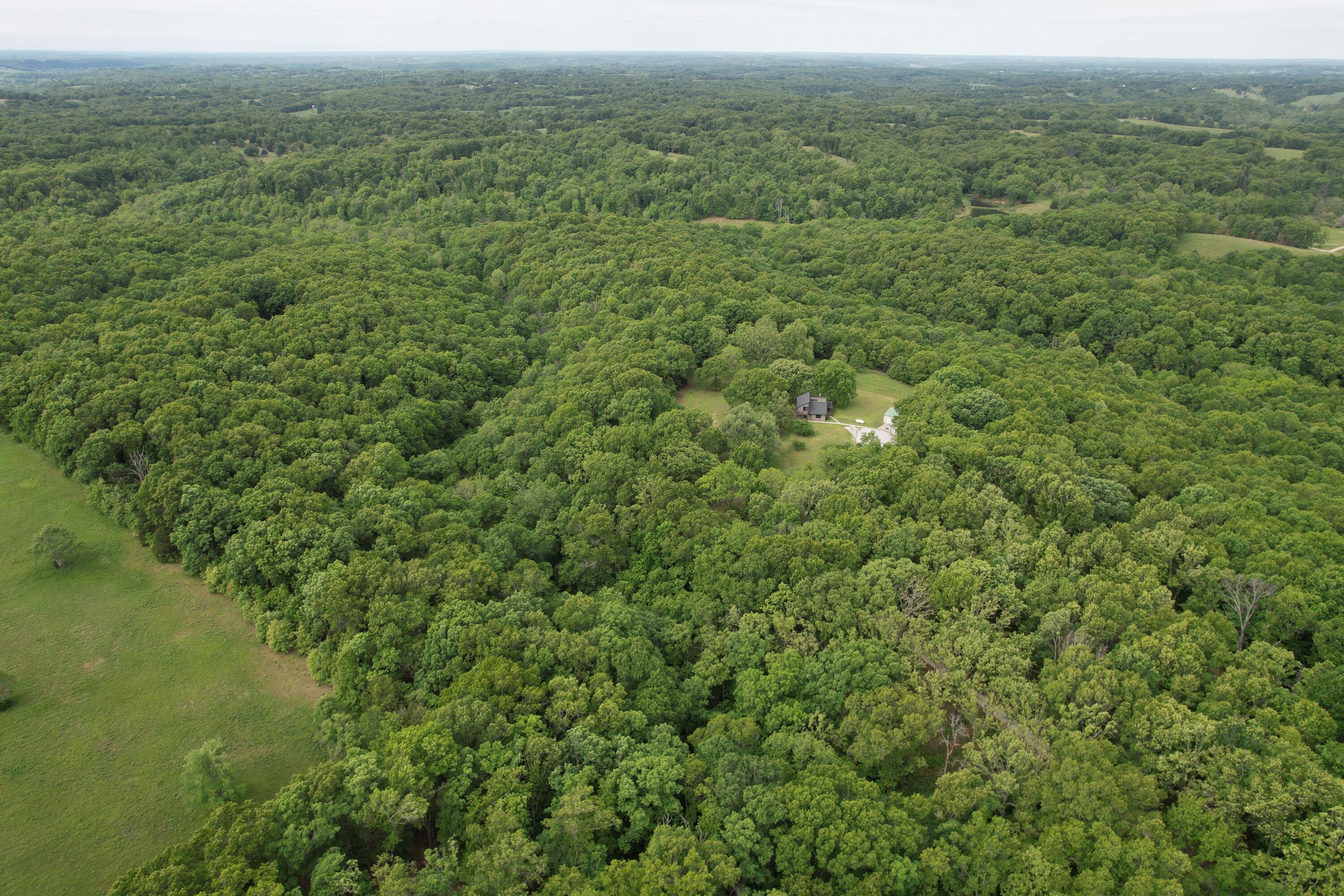 Photo 13 - Land for sale – 10550  State Hwy A   Crane, MO