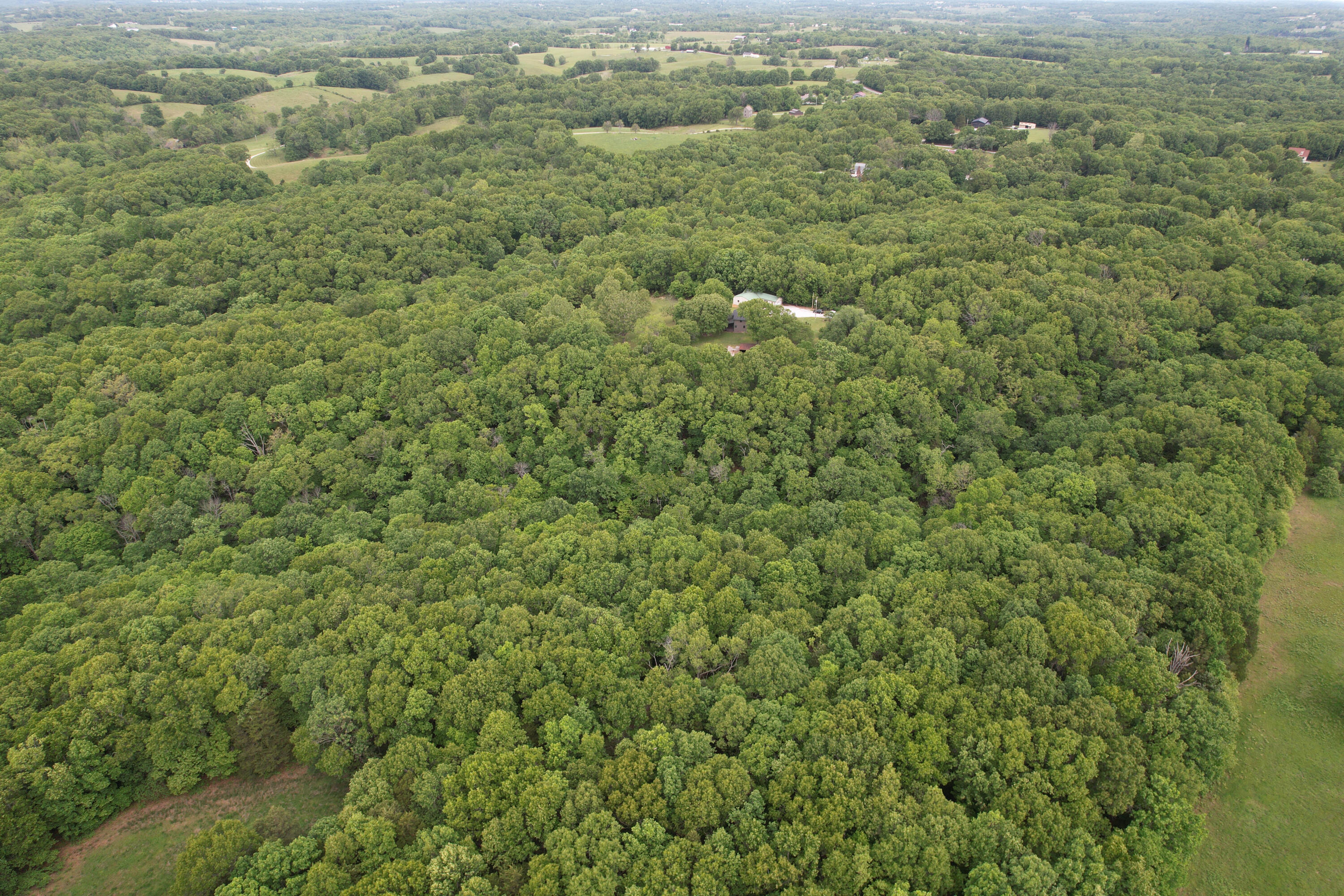 Photo 8 - Land for sale – 10550  State Hwy A   Crane, MO