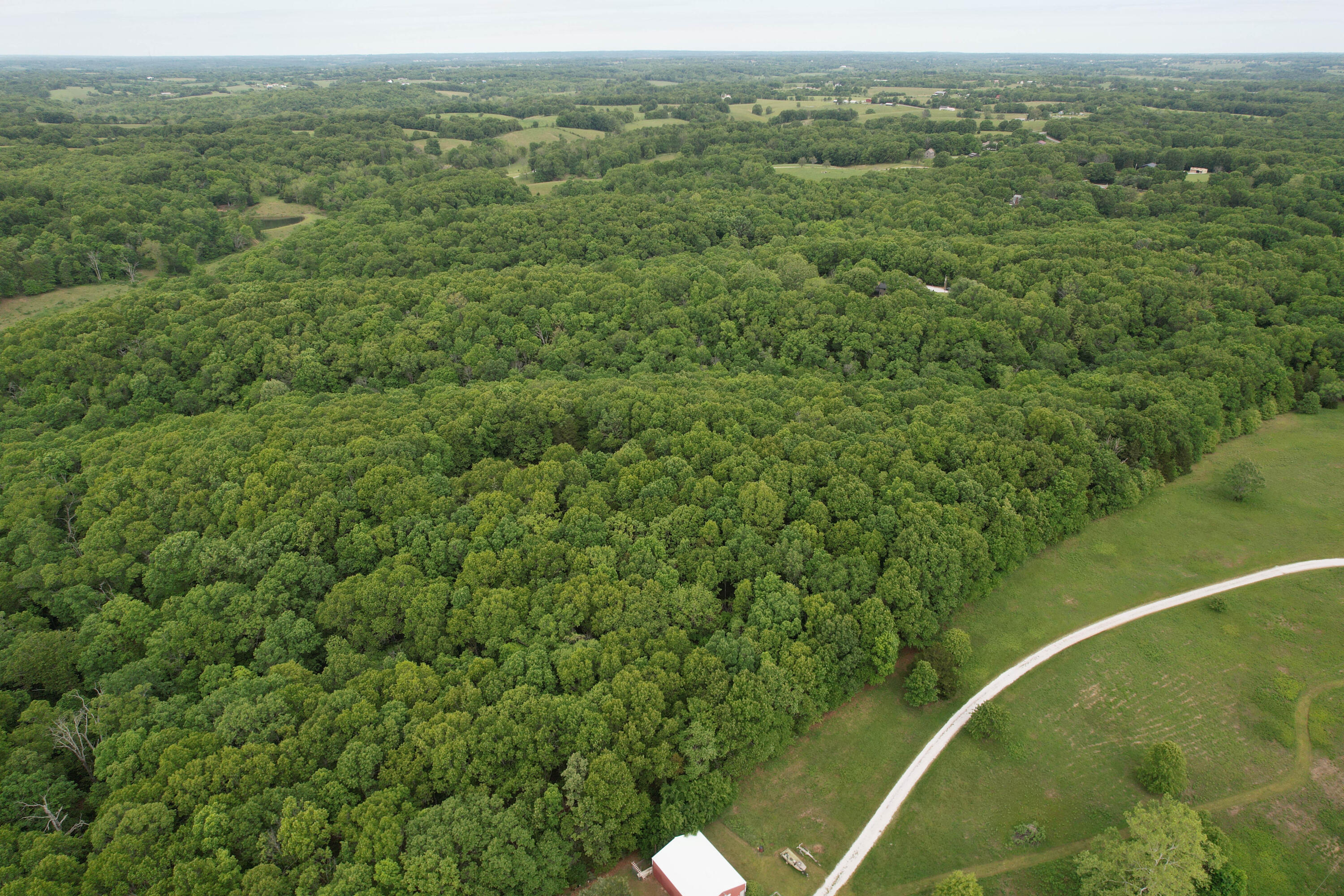 Photo 6 - Land for sale – 10550  State Hwy A   Crane, MO