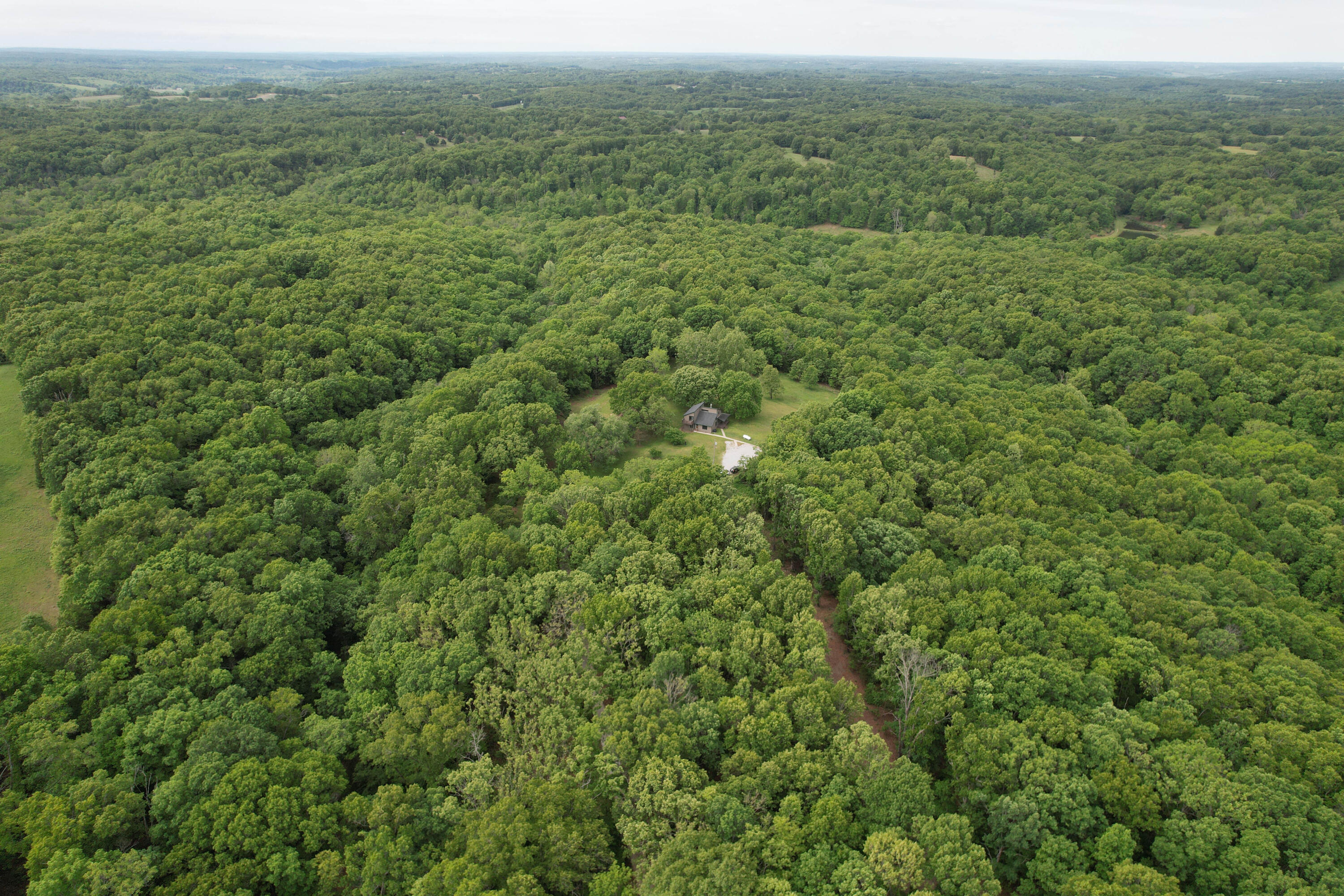 Photo 2 - Land for sale – 10550  State Hwy A   Crane, MO