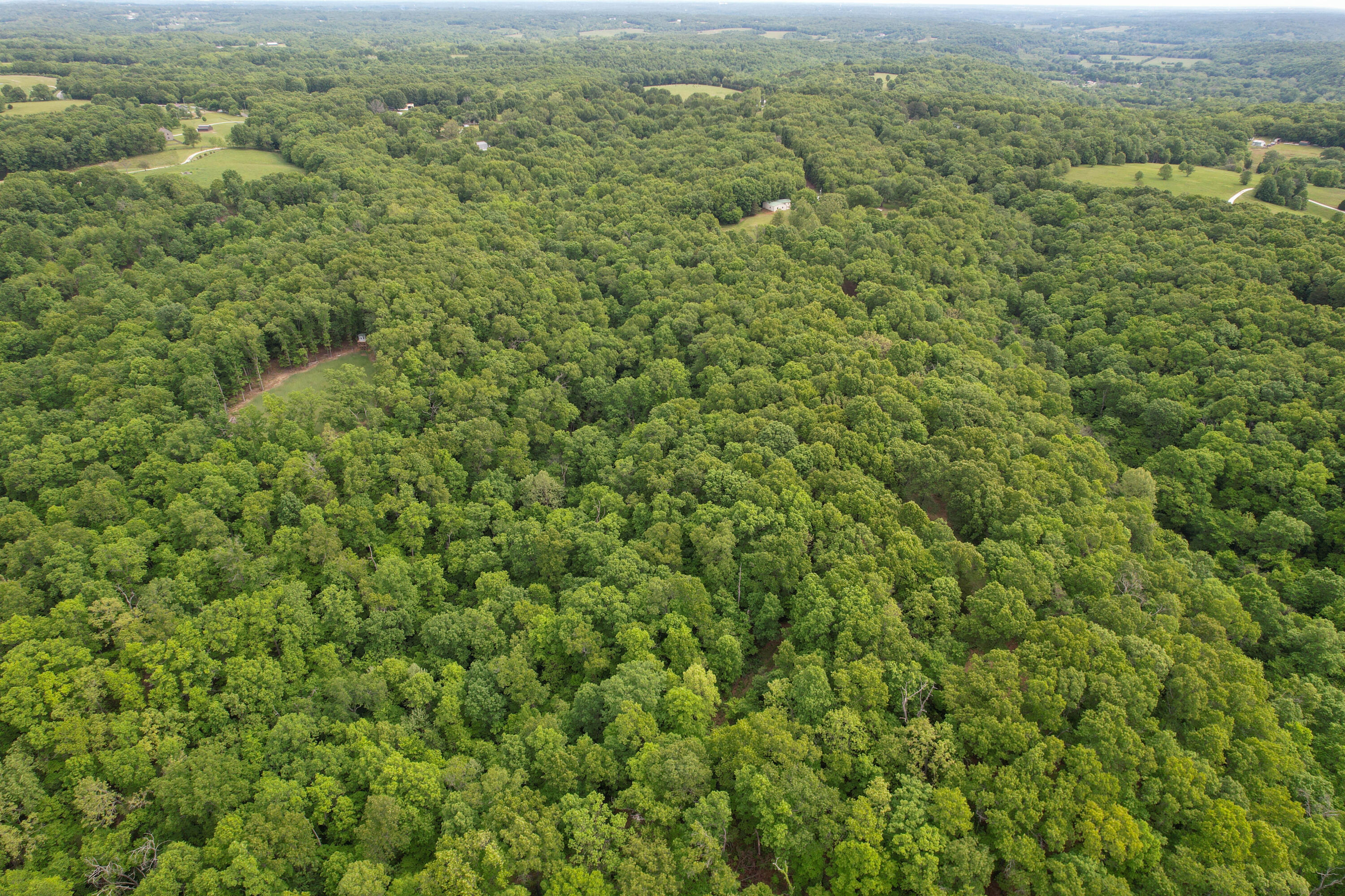Photo 10 - Land for sale – 10550  State Hwy A   Crane, MO