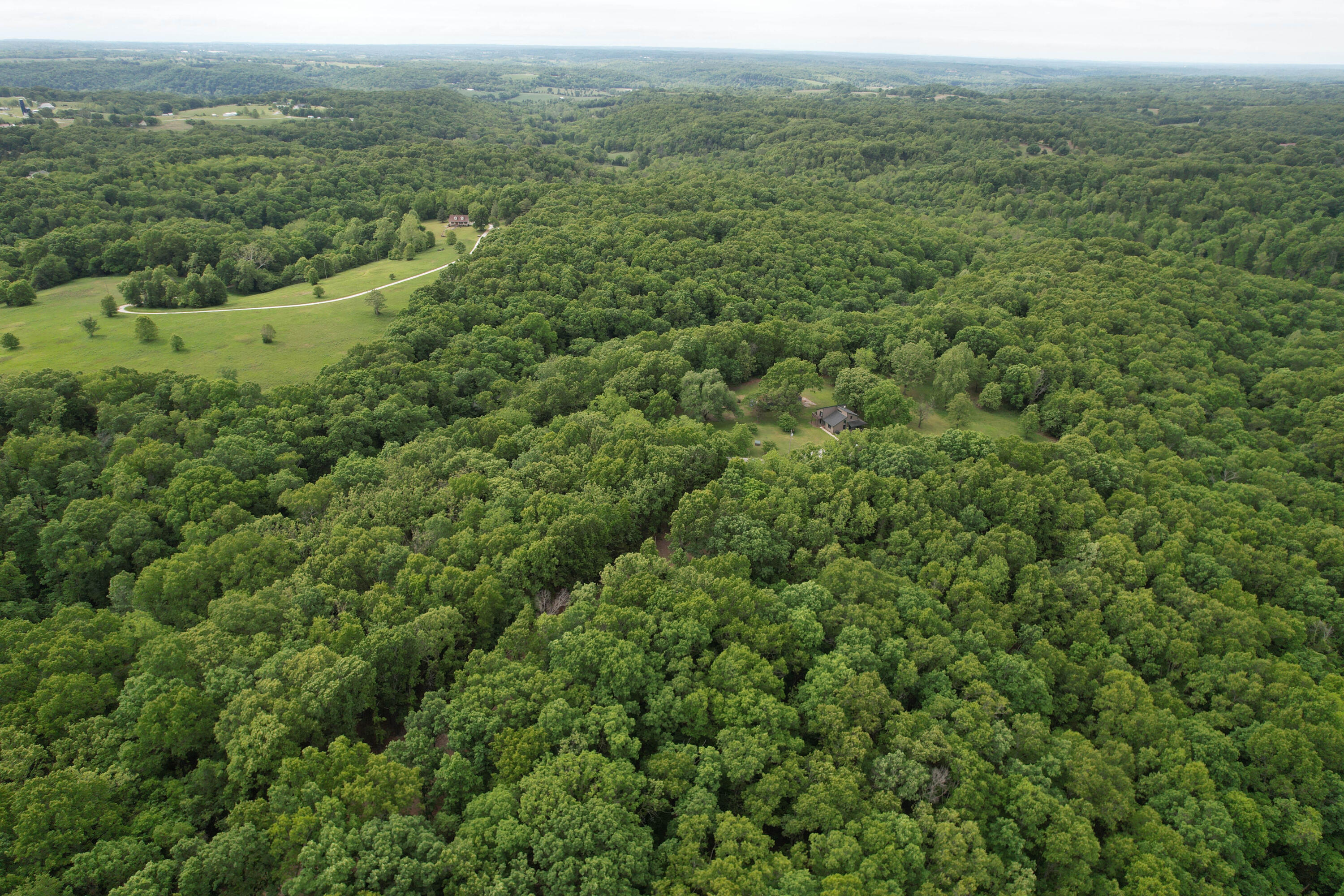 Photo 4 - Land for sale – 10550  State Hwy A   Crane, MO