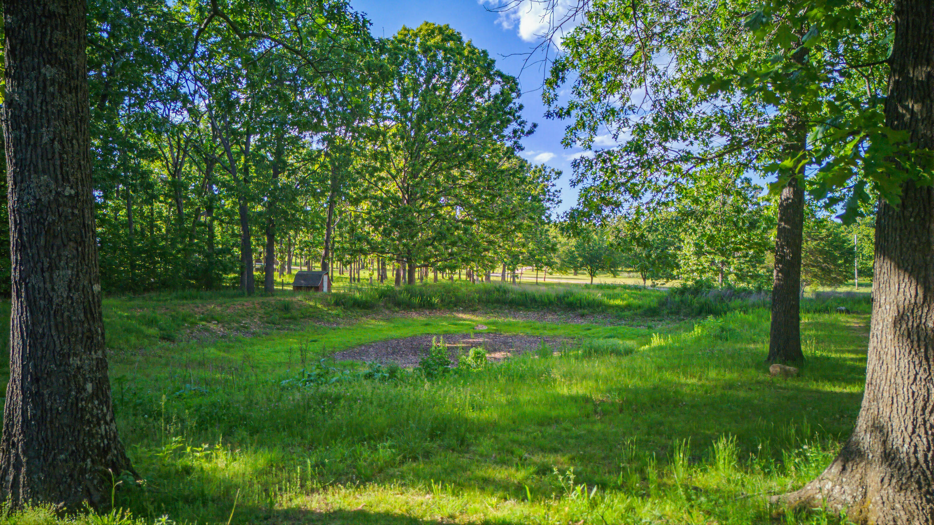Photo 38 - Residential for sale – 5345  County Road 8800   West Plains, MO