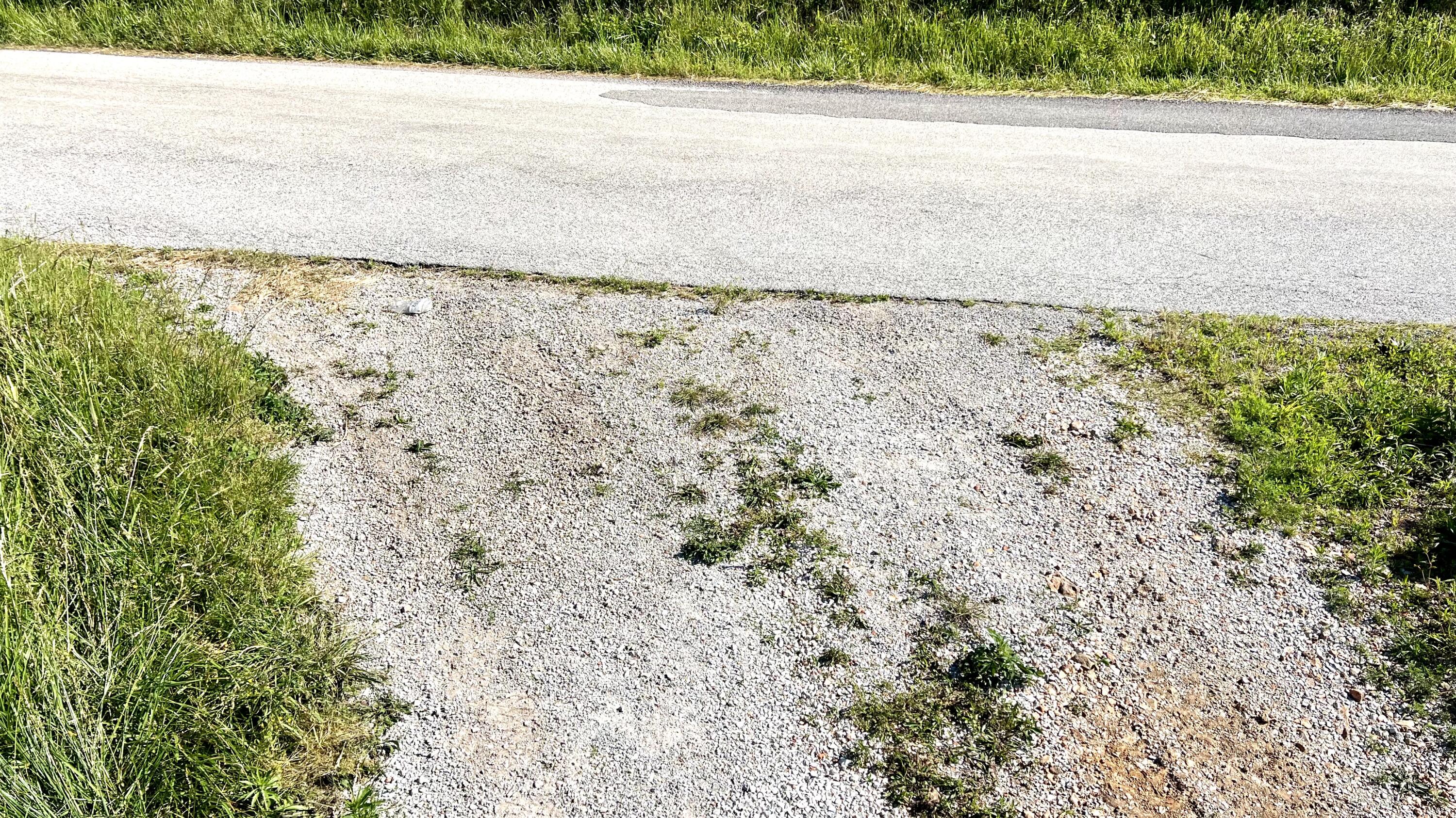 Photo 3 - Land for sale – 354  Thief Hollow Road  Anderson, MO