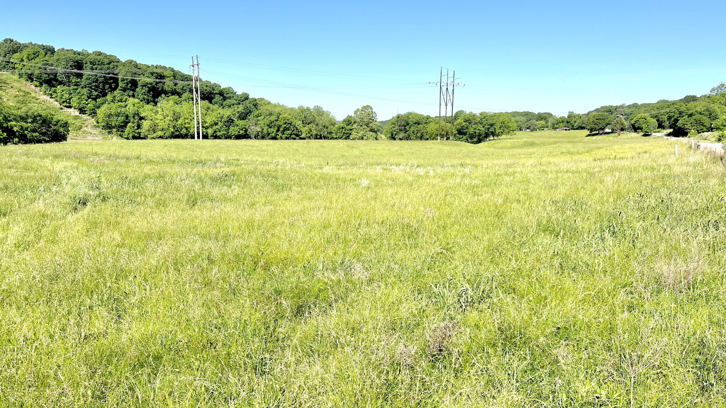 Land for sale – 354  Thief Hollow Road  Anderson, MO