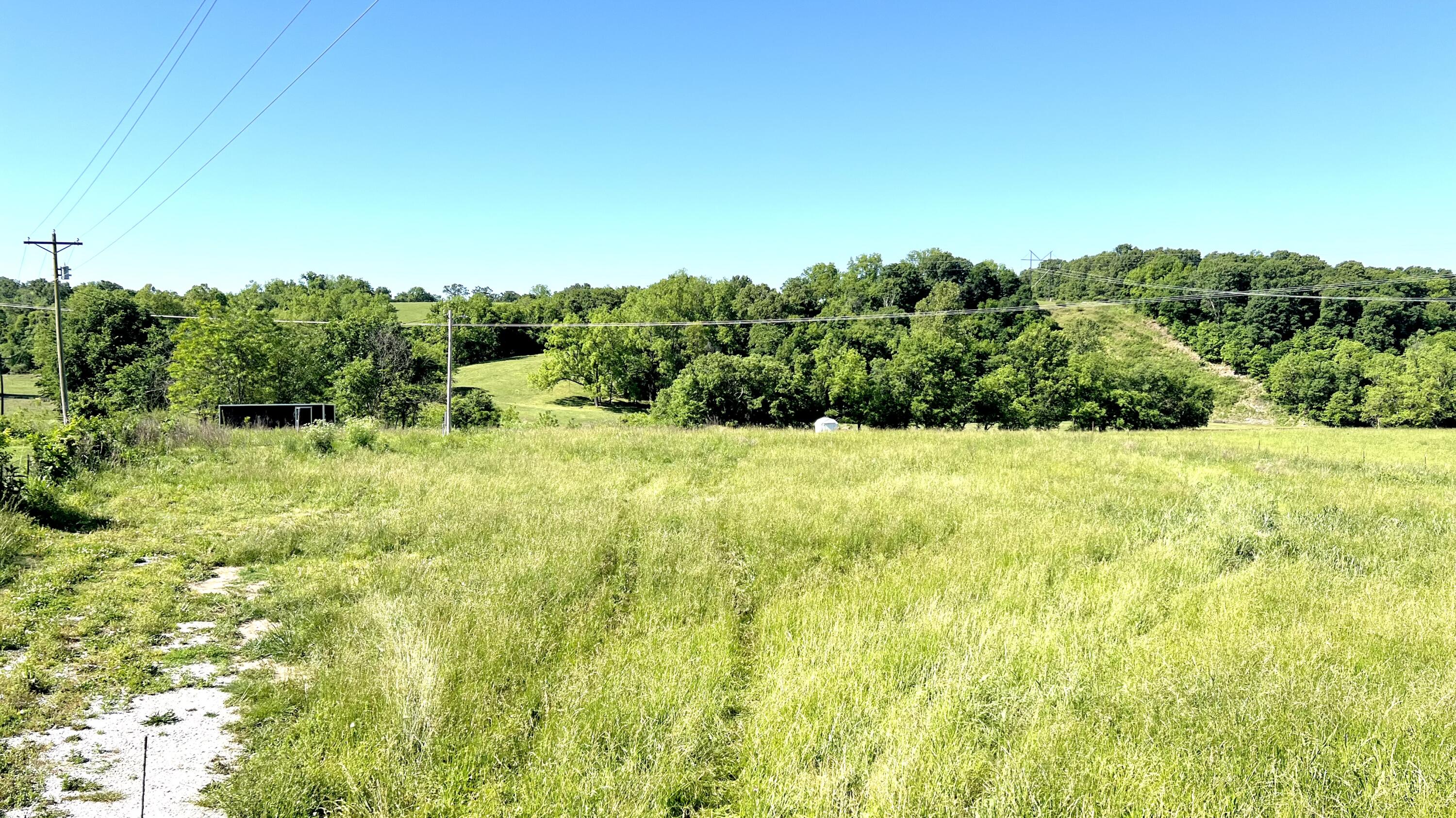 Photo 4 - Land for sale – 354  Thief Hollow Road  Anderson, MO
