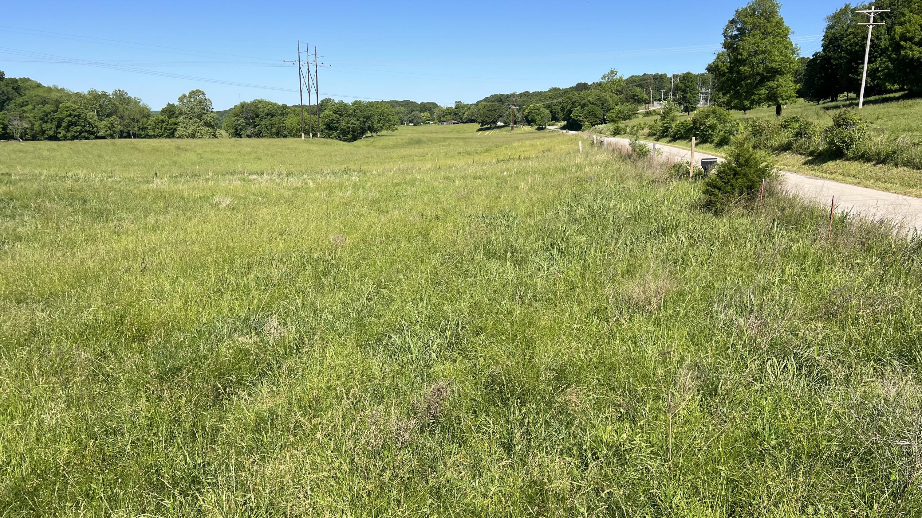 Photo 2 - Land for sale – 354  Thief Hollow Road  Anderson, MO