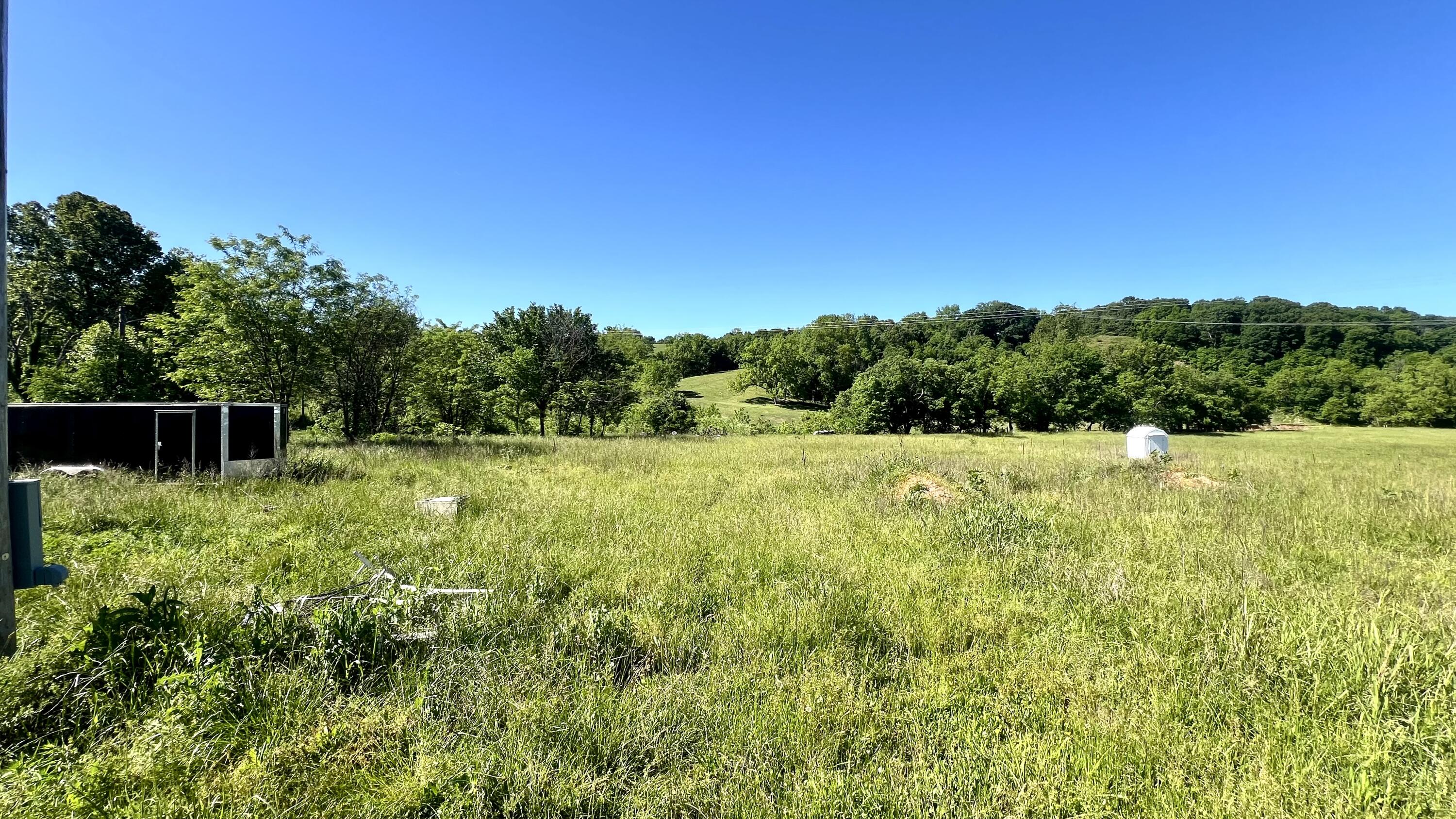 Photo 6 - Land for sale – 354  Thief Hollow Road  Anderson, MO