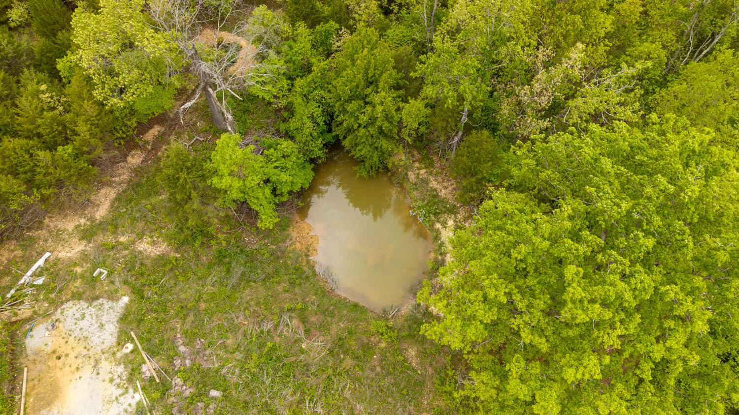 Photo 5 - Land for sale – 291  County Road 804   Gainesville, MO