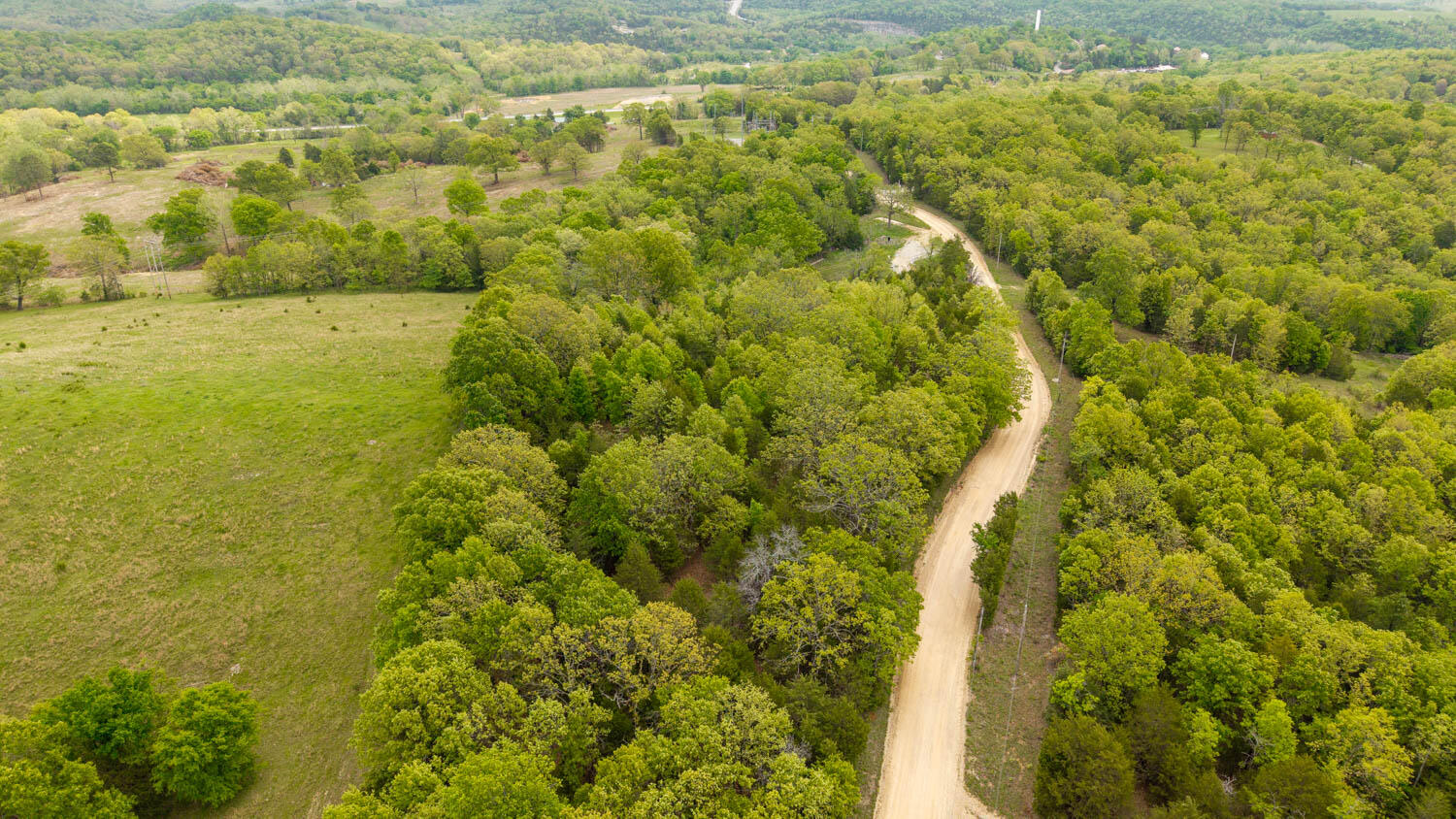 Photo 7 - Land for sale – 291  County Road 804   Gainesville, MO