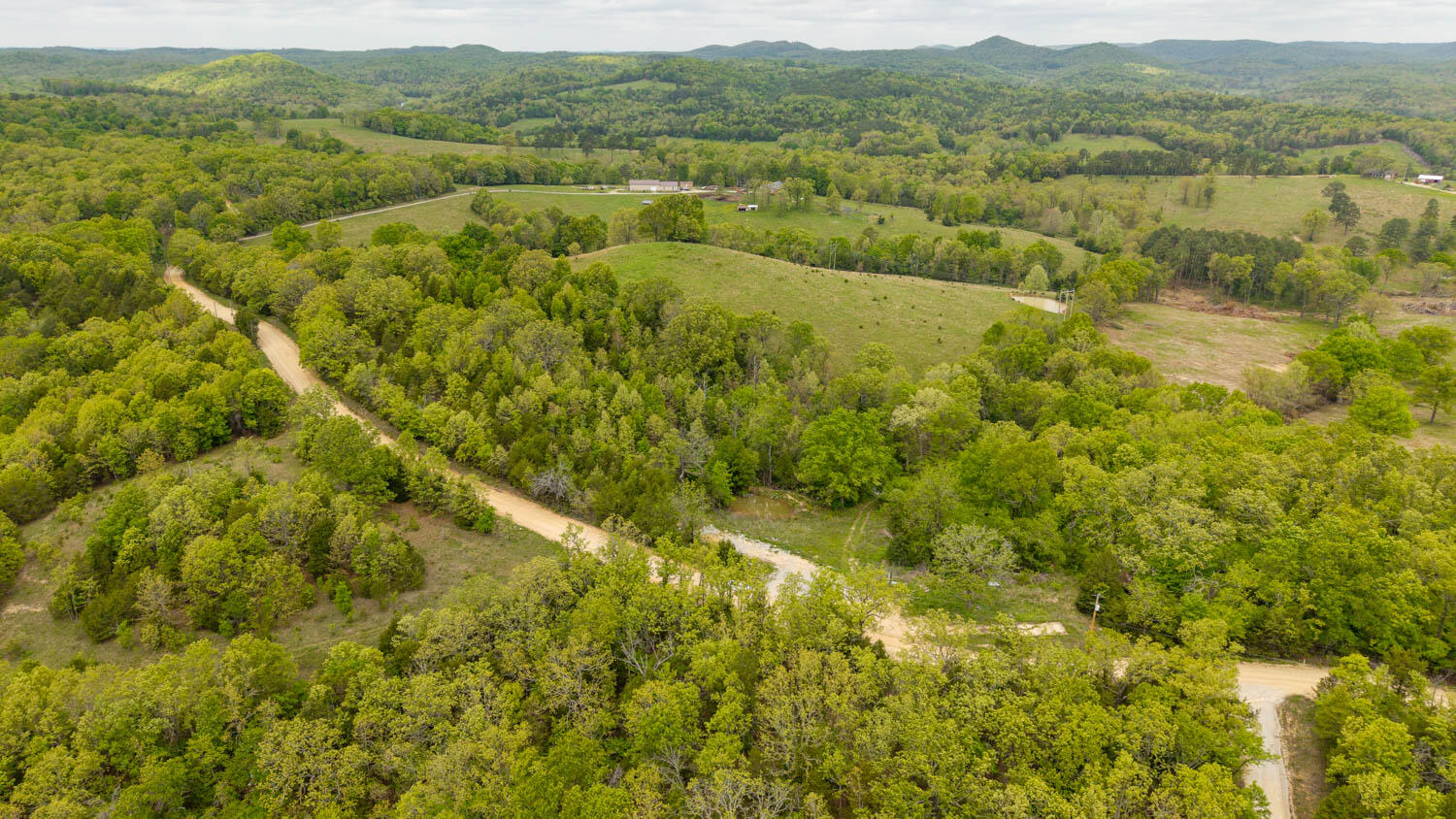 Photo 3 - Land for sale – 291  County Road 804   Gainesville, MO