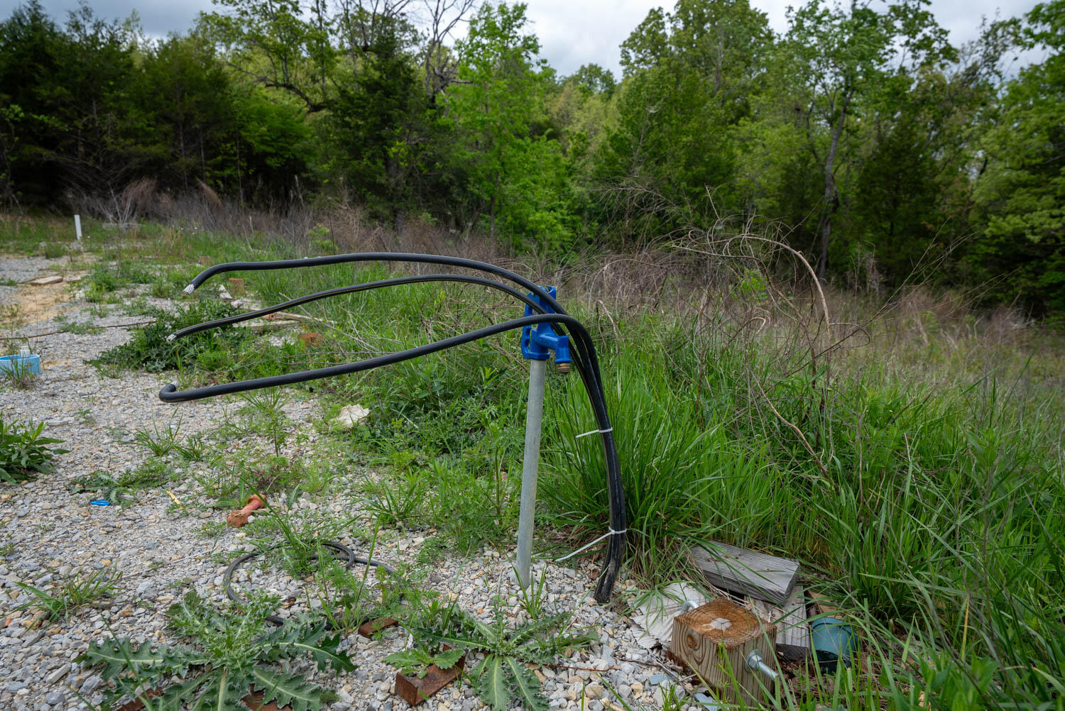 Photo 8 - Land for sale – 291  County Road 804   Gainesville, MO
