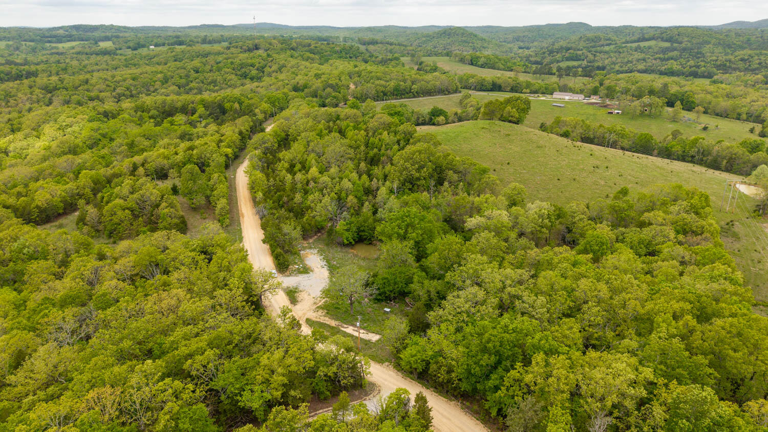 Photo 4 - Land for sale – 291  County Road 804   Gainesville, MO