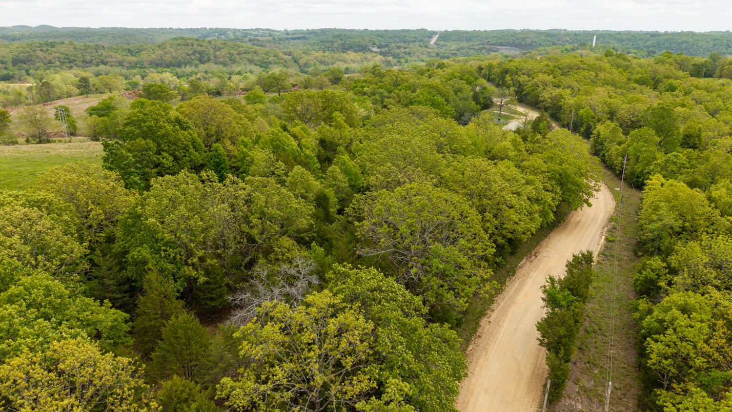 Photo 6 - Land for sale – 291  County Road 804   Gainesville, MO