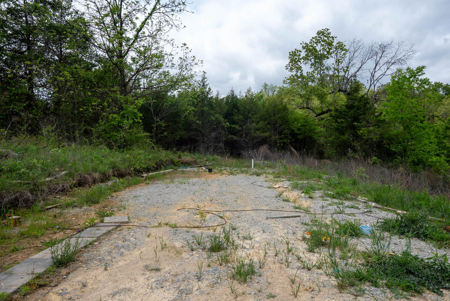Photo 10 - Land for sale – 291  County Road 804   Gainesville, MO