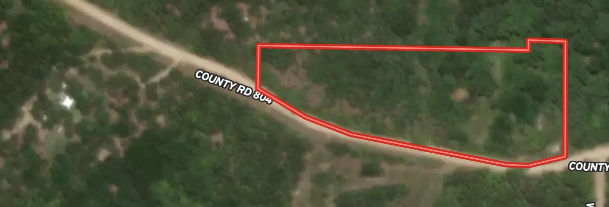 Photo 2 - Land for sale – 291  County Road 804   Gainesville, MO