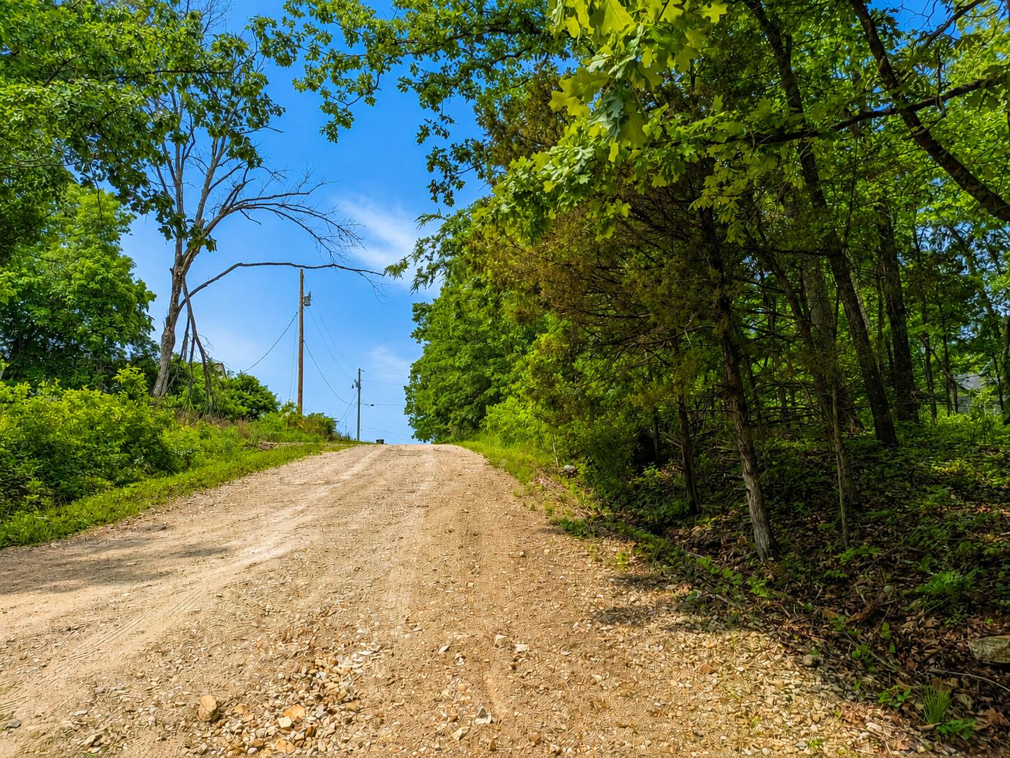 Photo 5 - Land for sale – 000  Tree Top Lane  Merriam Woods, MO
