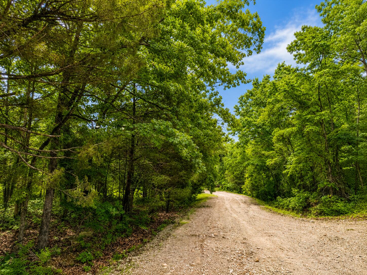 Photo 2 - Land for sale – 000  Tree Top Lane  Merriam Woods, MO