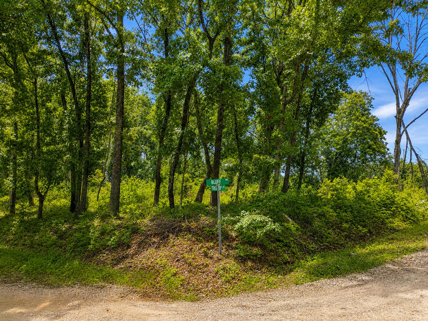 Photo 4 - Land for sale – 000  Tree Top Lane  Merriam Woods, MO