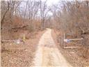 Photo 60 - Land for sale – 80+/-Acres  Proctor Lane  Gravois Mills, MO