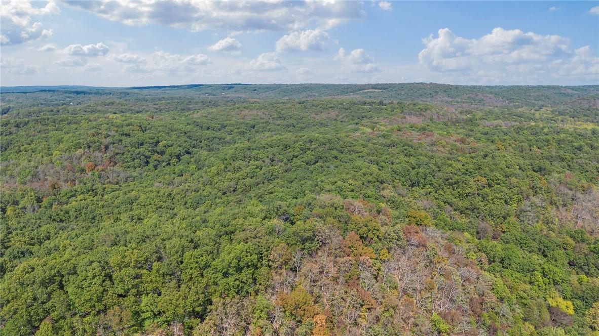 Photo 5 - Land for sale – 80+/-Acres  Proctor Lane  Gravois Mills, MO