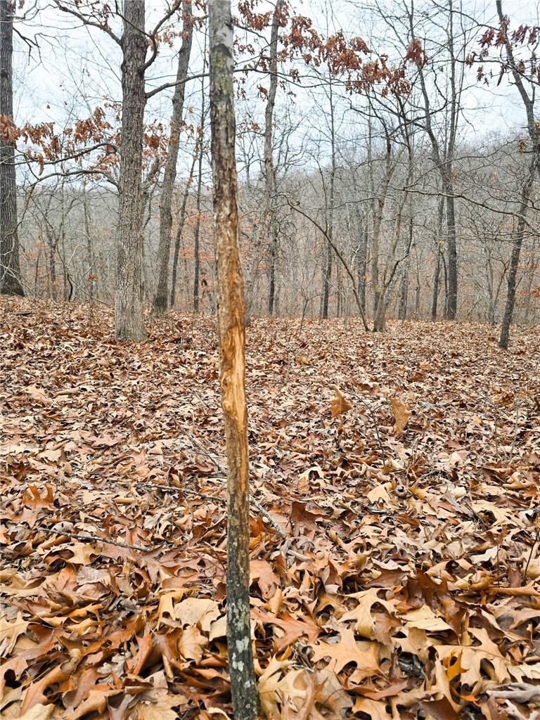 Photo 25 - Land for sale – 80+/-Acres  Proctor Lane  Gravois Mills, MO