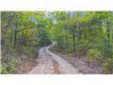Land for sale – 80+/-Acres  Proctor Lane  Gravois Mills, MO