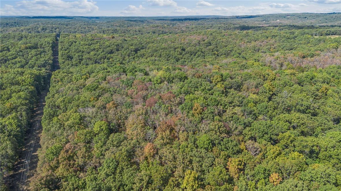Photo 7 - Land for sale – 80+/-Acres  Proctor Lane  Gravois Mills, MO