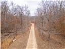 Photo 8 - Land for sale – 80+/-Acres  Proctor Lane  Gravois Mills, MO
