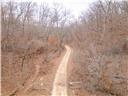 Photo 76 - Land for sale – 80+/-Acres  Proctor Lane  Gravois Mills, MO